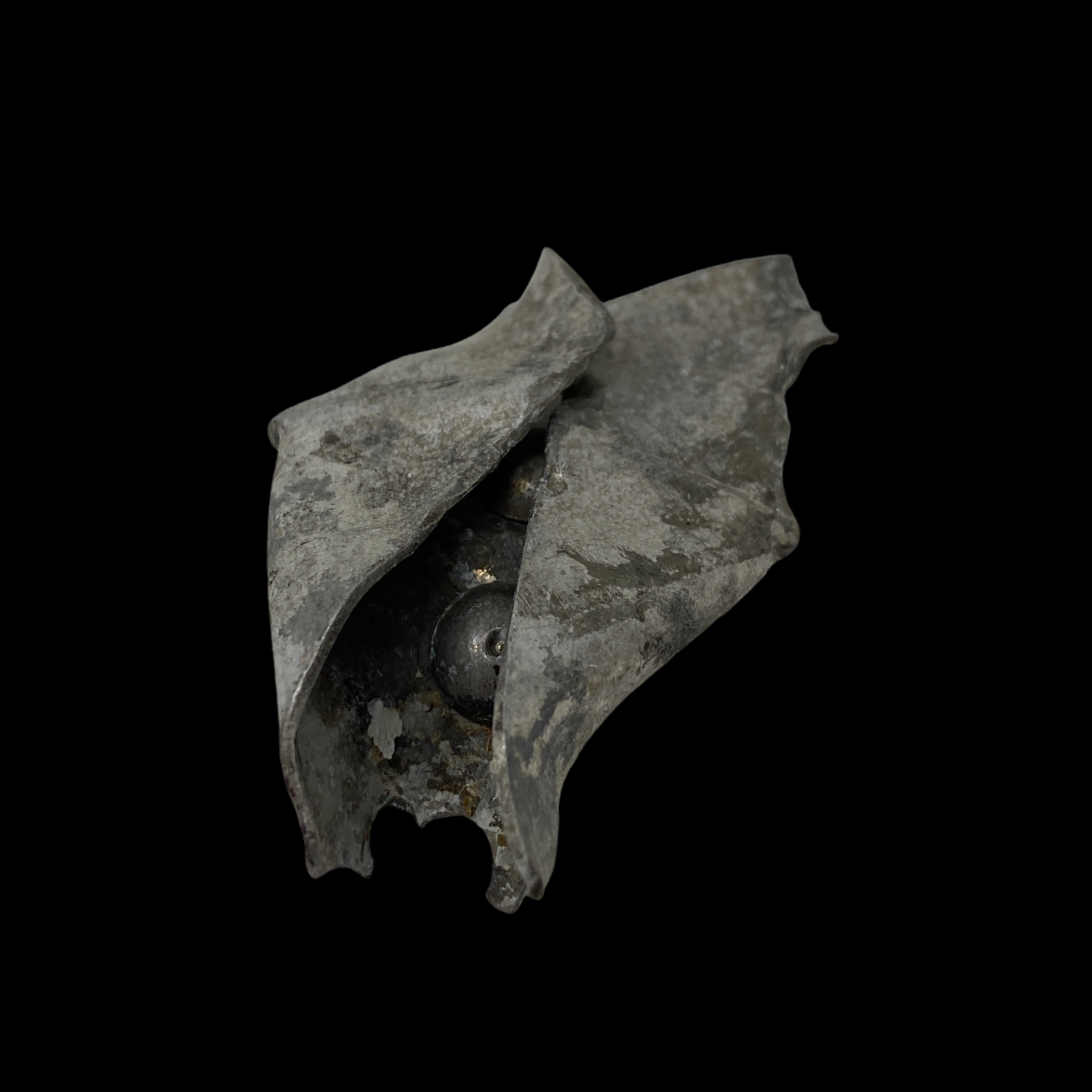 PhotoRoom_019_20220513_095431.PNG