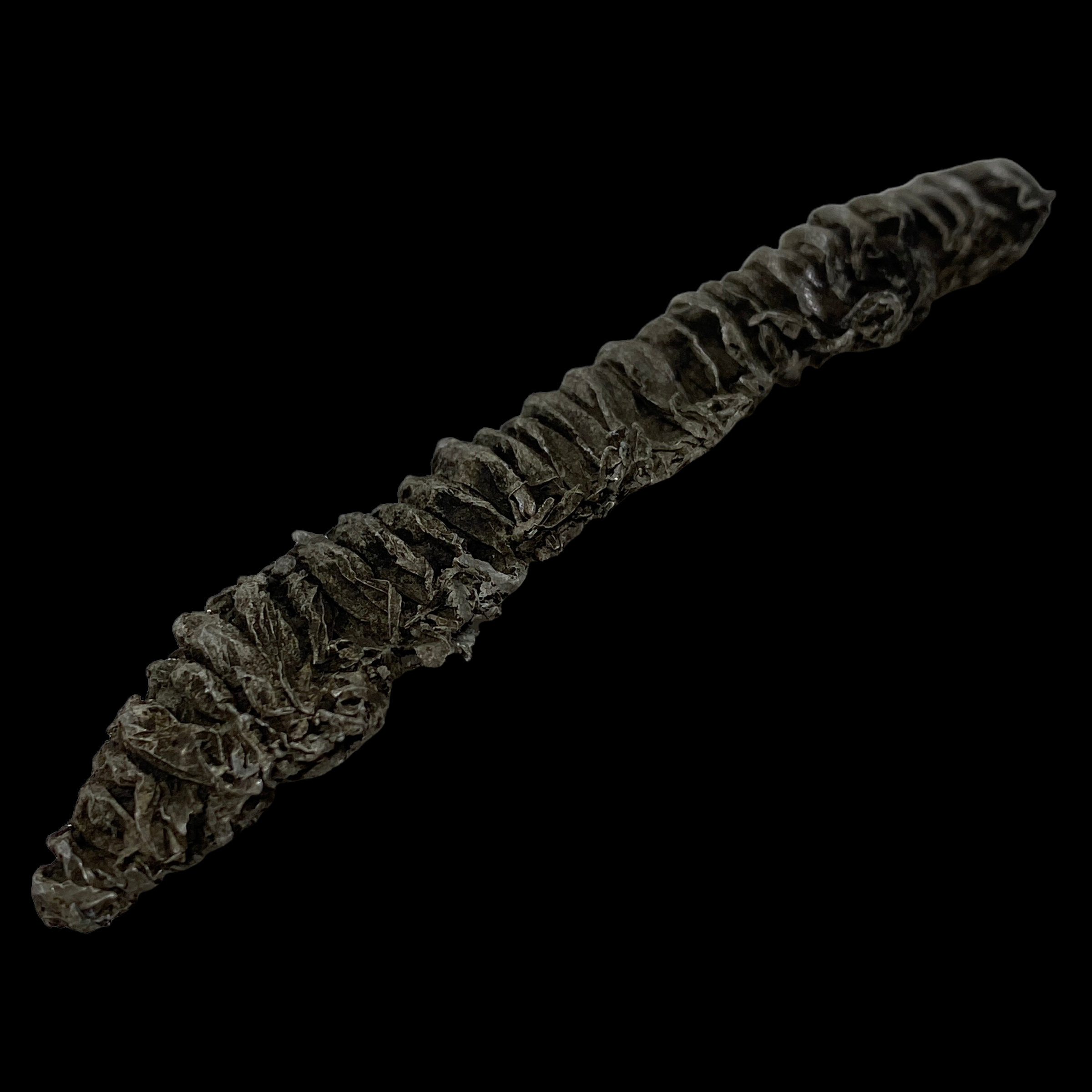 PhotoRoom_025_20220513_095431.PNG