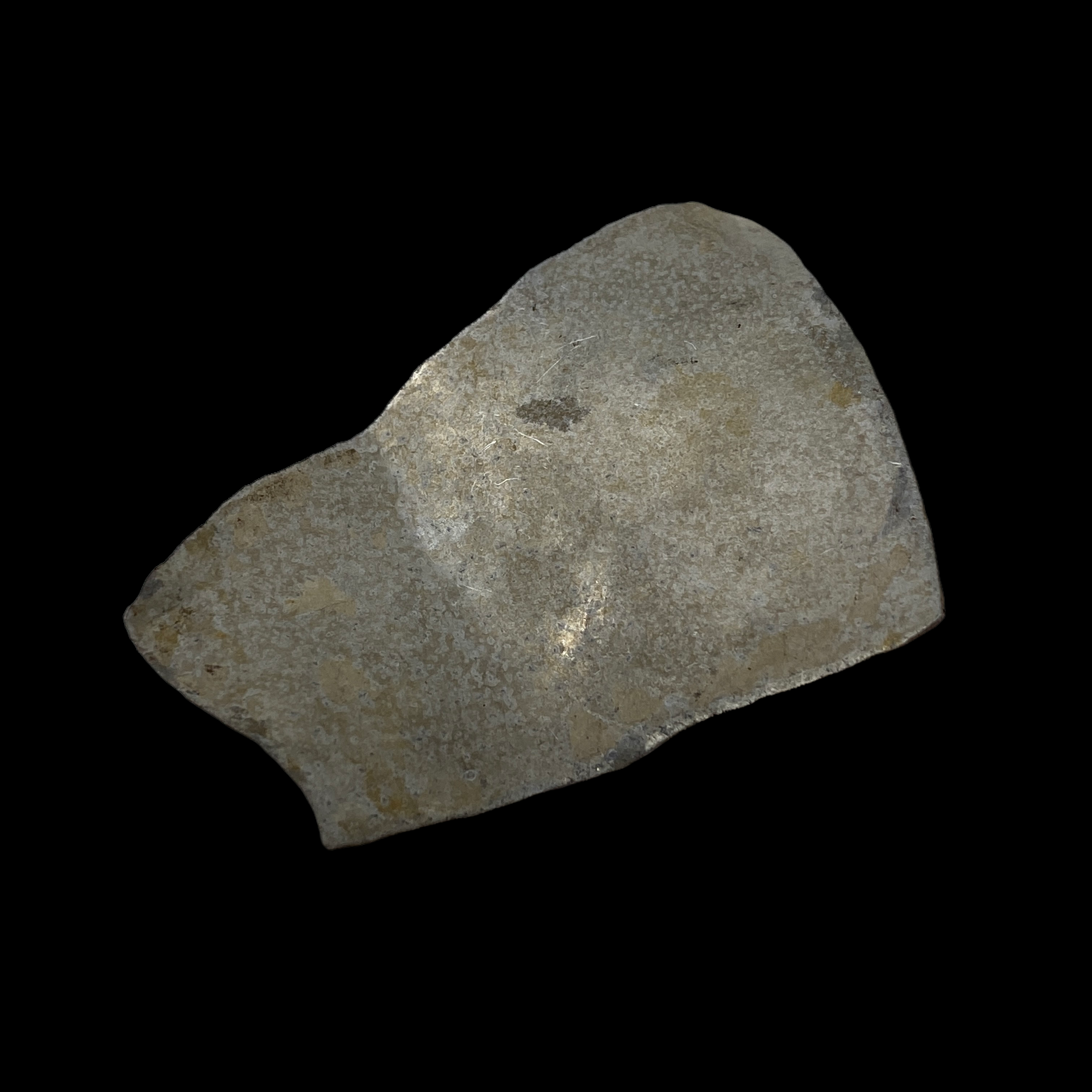 PhotoRoom_049_20220513_095431.PNG