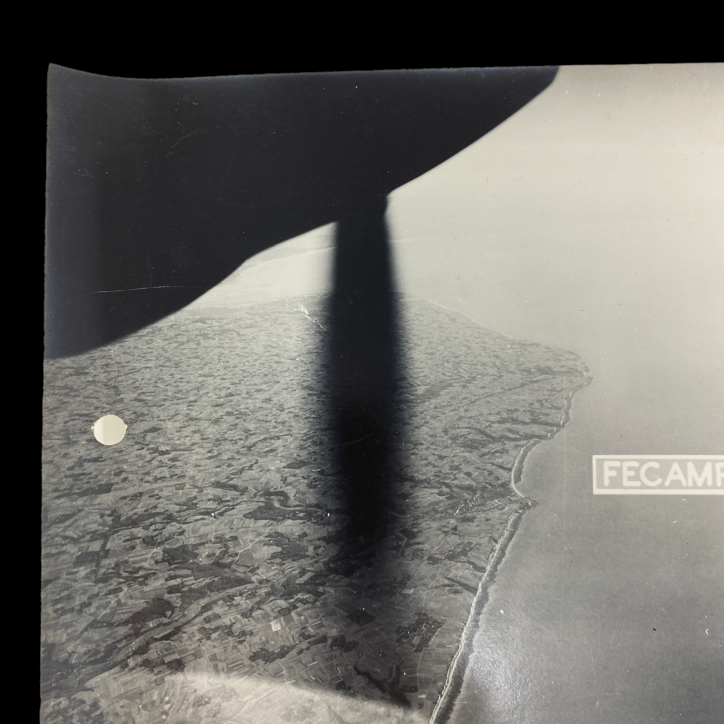 PhotoRoom_107_20220825_174254.PNG