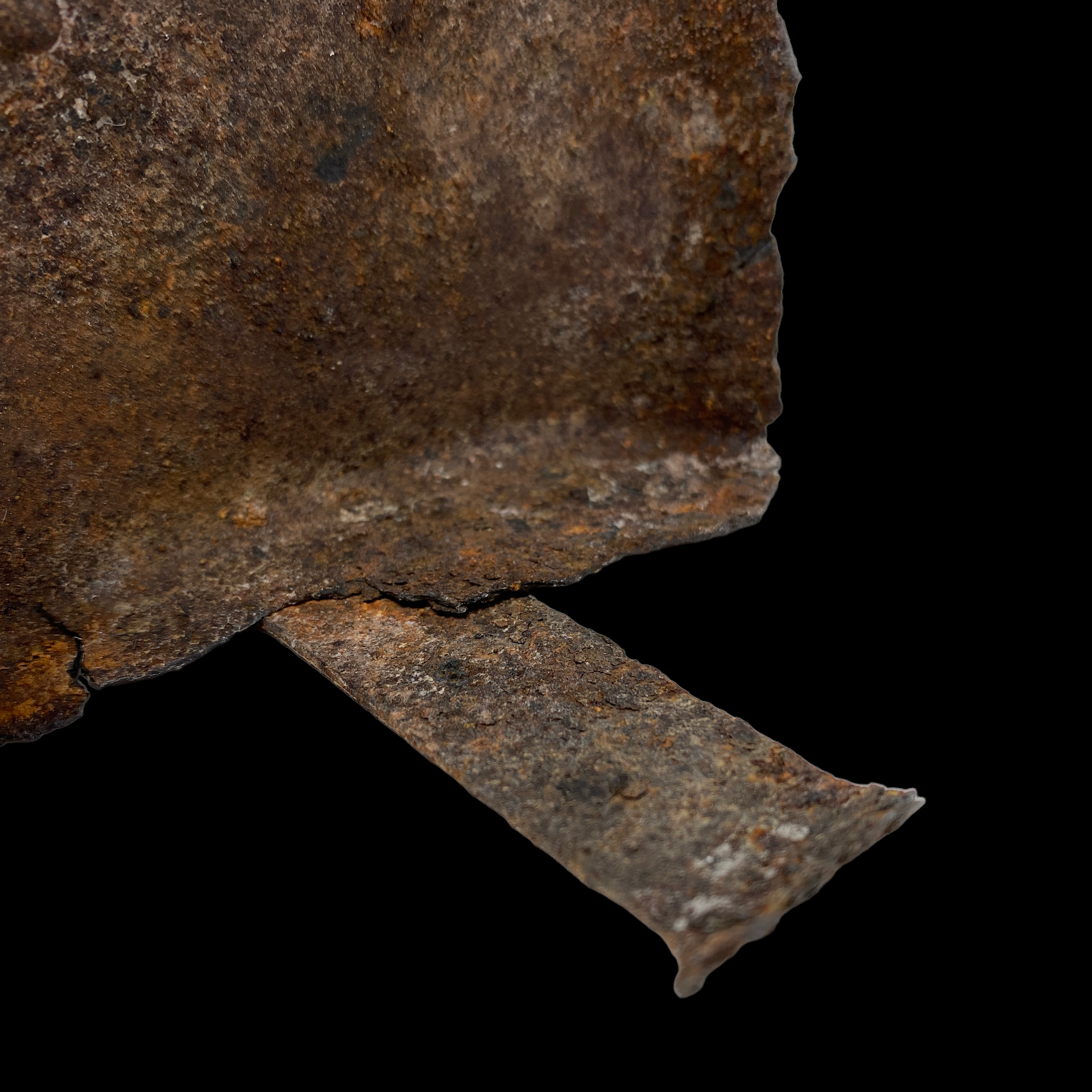 PhotoRoom_068_20221102_205537.PNG