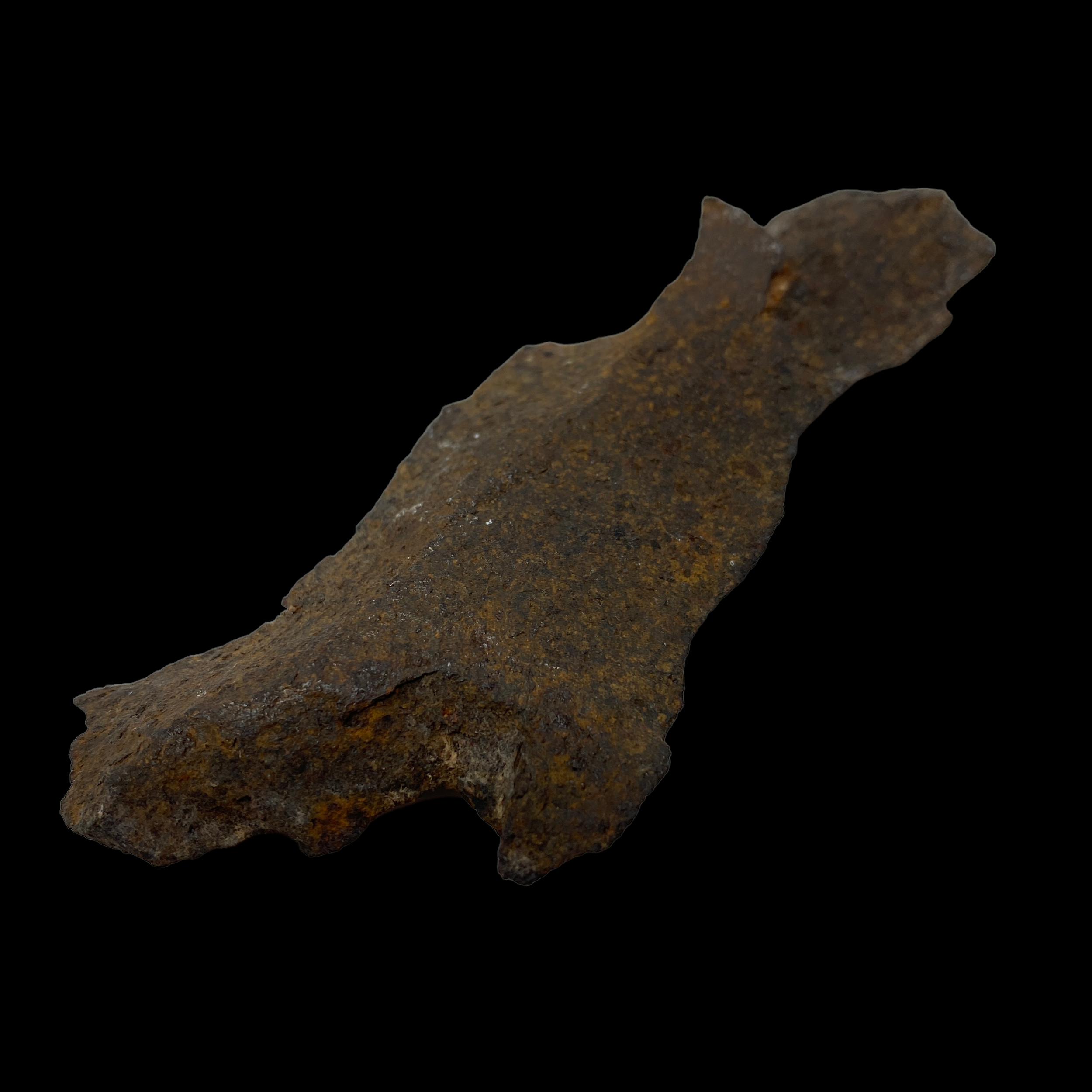 PhotoRoom_071_20221102_205537.PNG