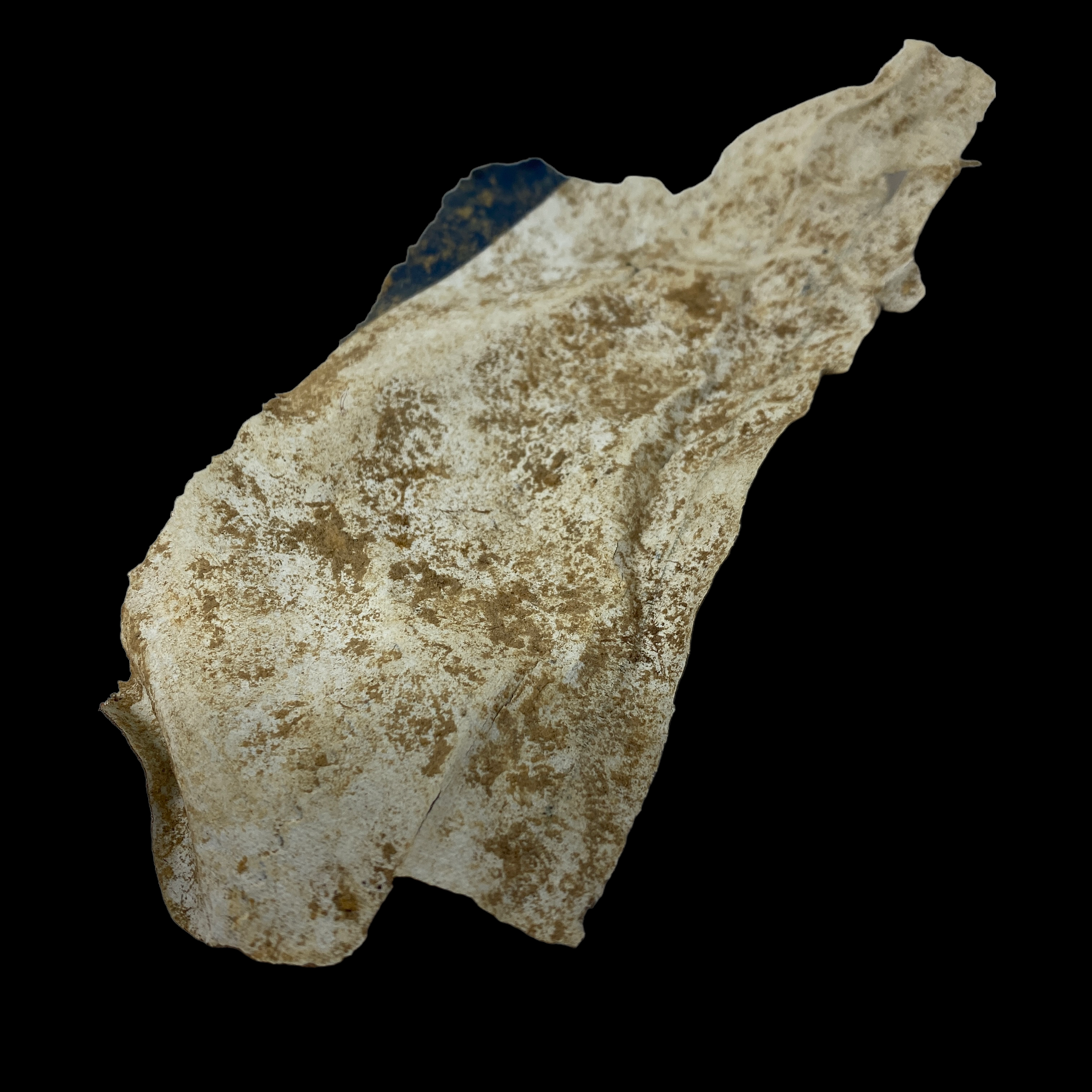 PhotoRoom_026_20221210_232948.PNG
