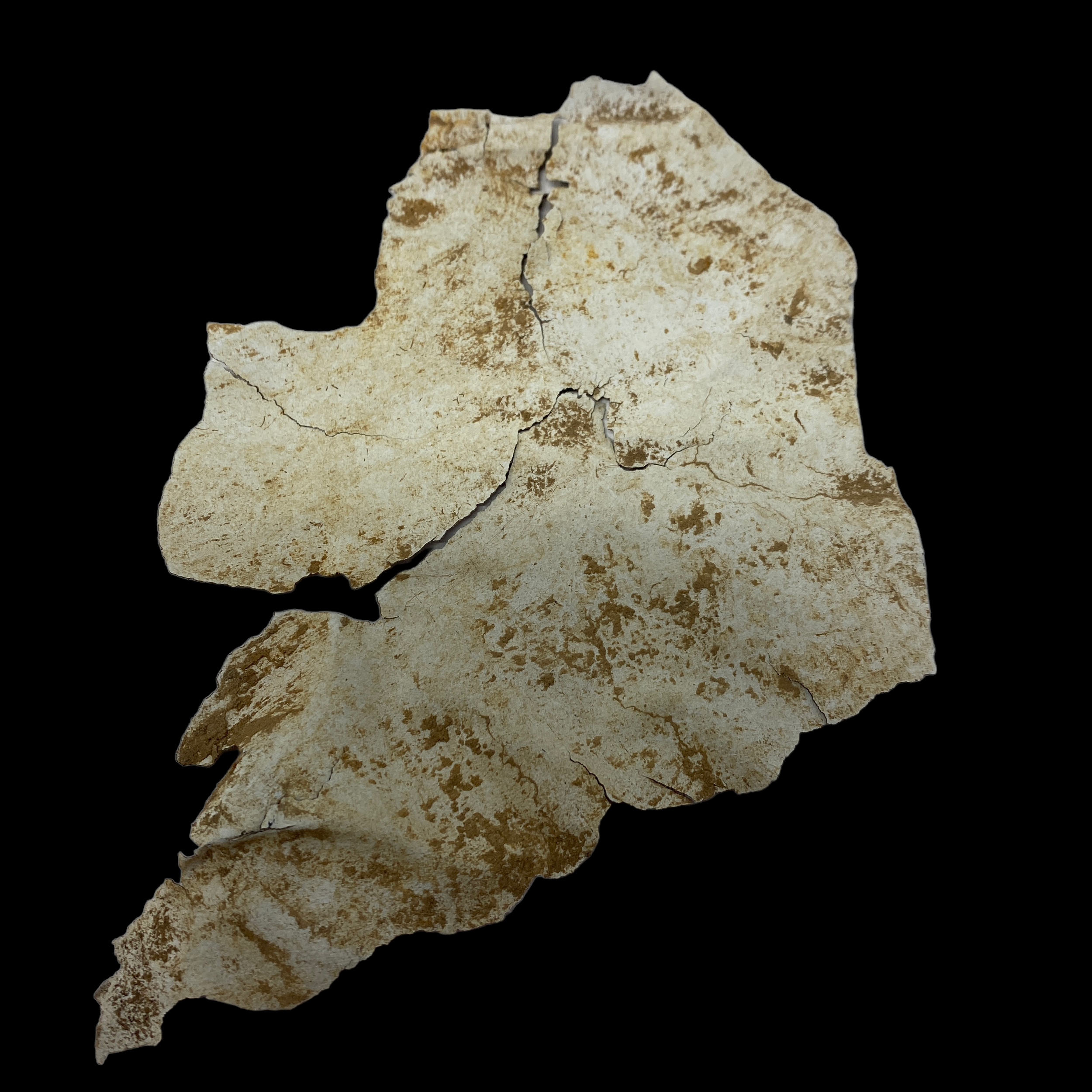 PhotoRoom_035_20221210_232948.PNG