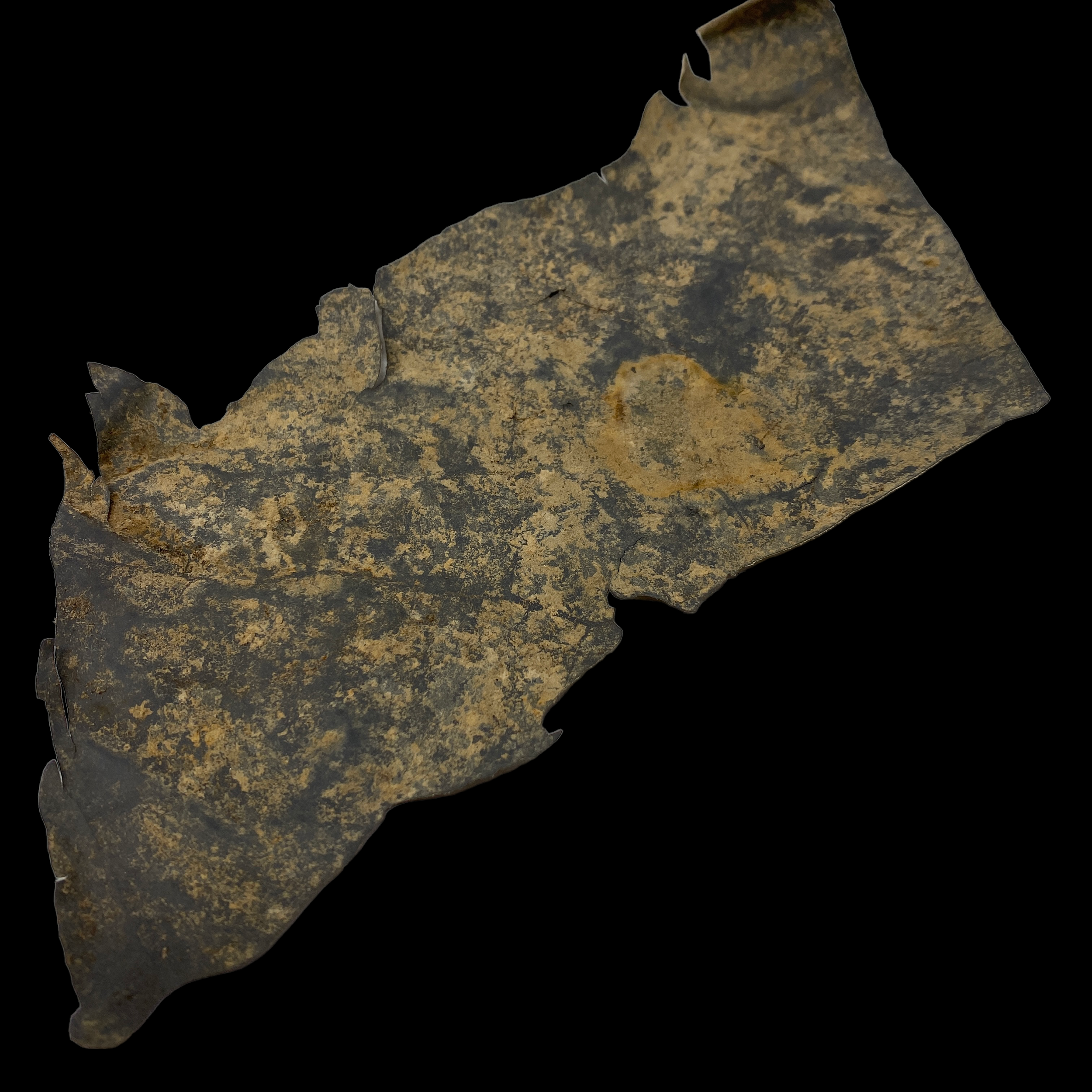 PhotoRoom_067_20221210_232948.PNG