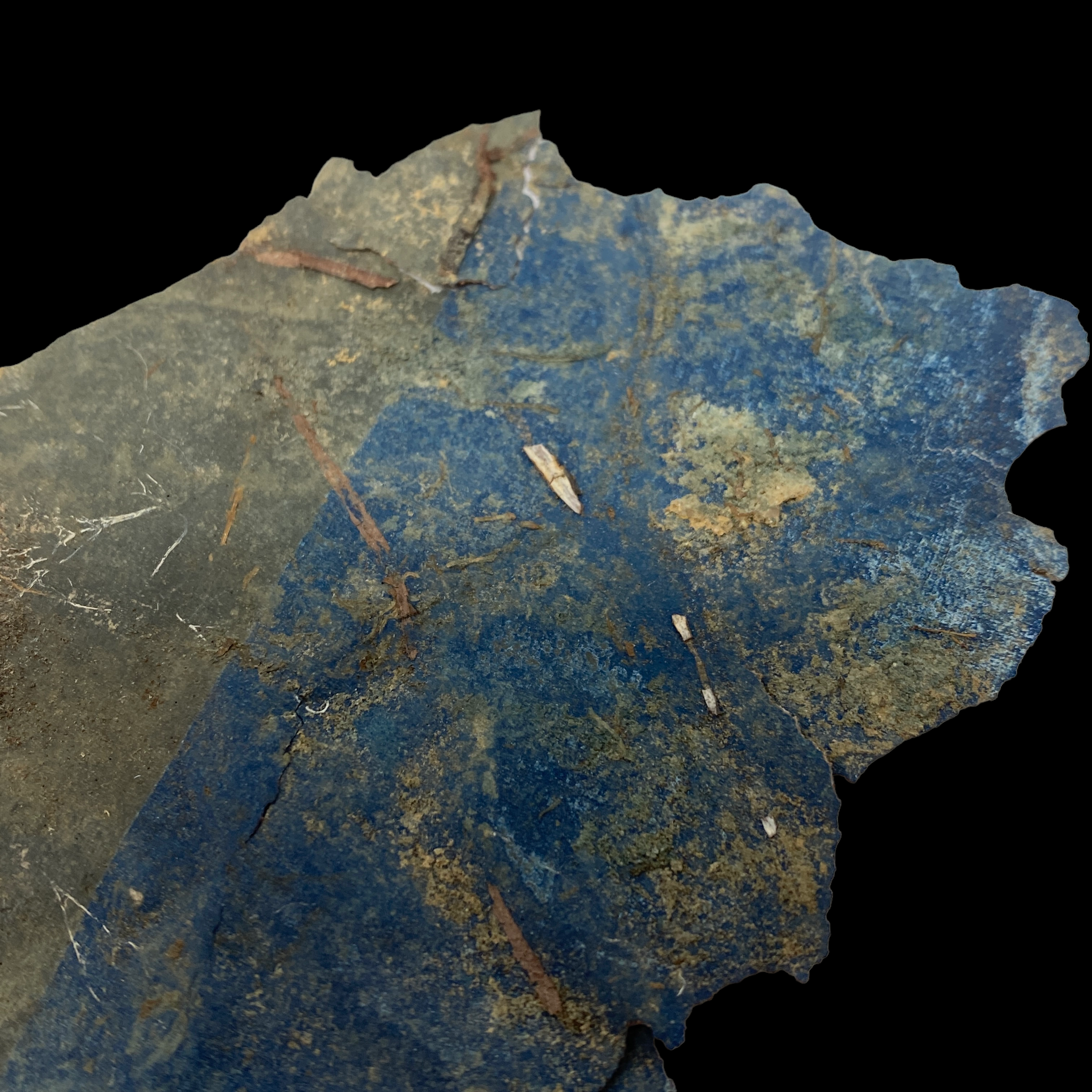 PhotoRoom_102_20221210_232949.PNG
