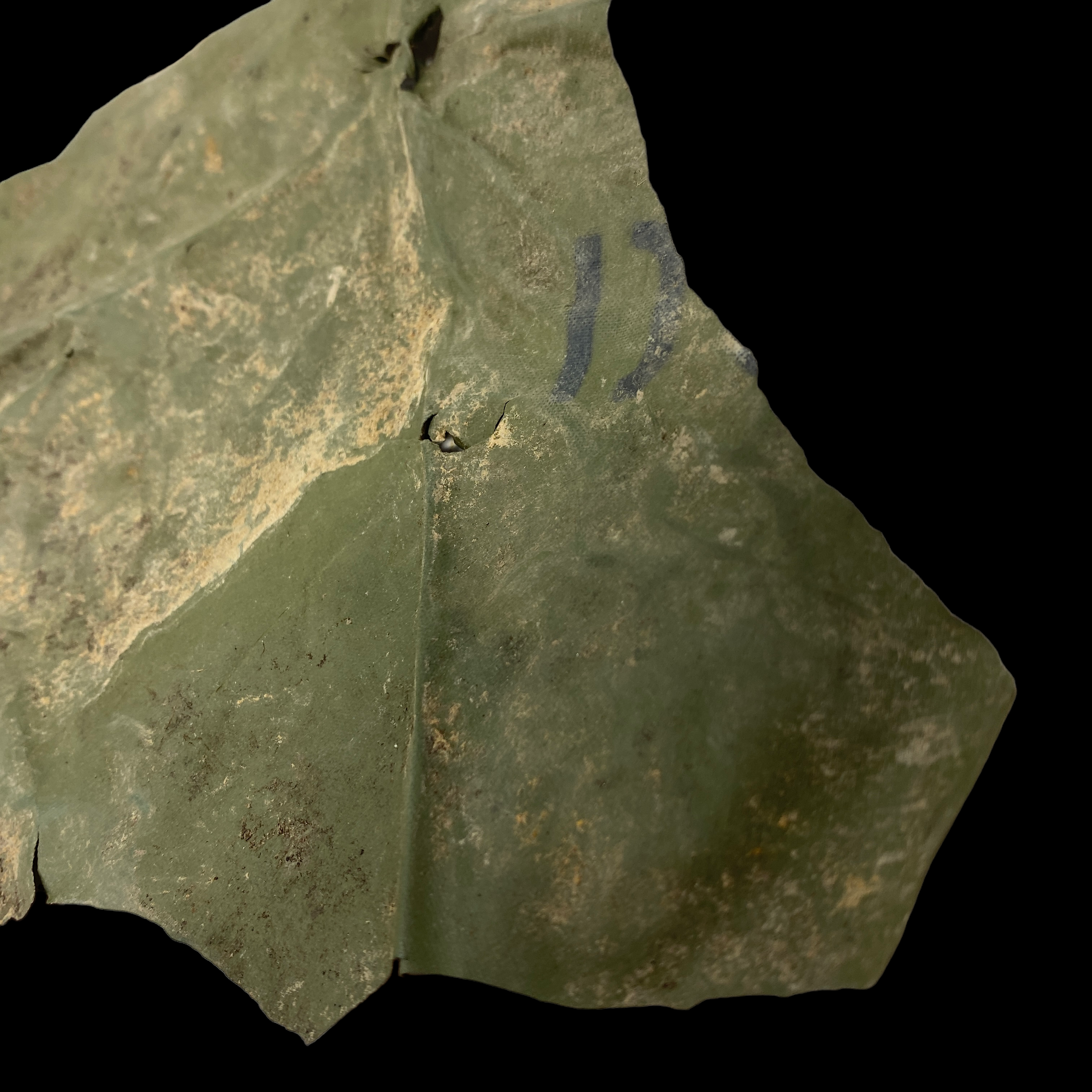 PhotoRoom_109_20221214_175632.PNG
