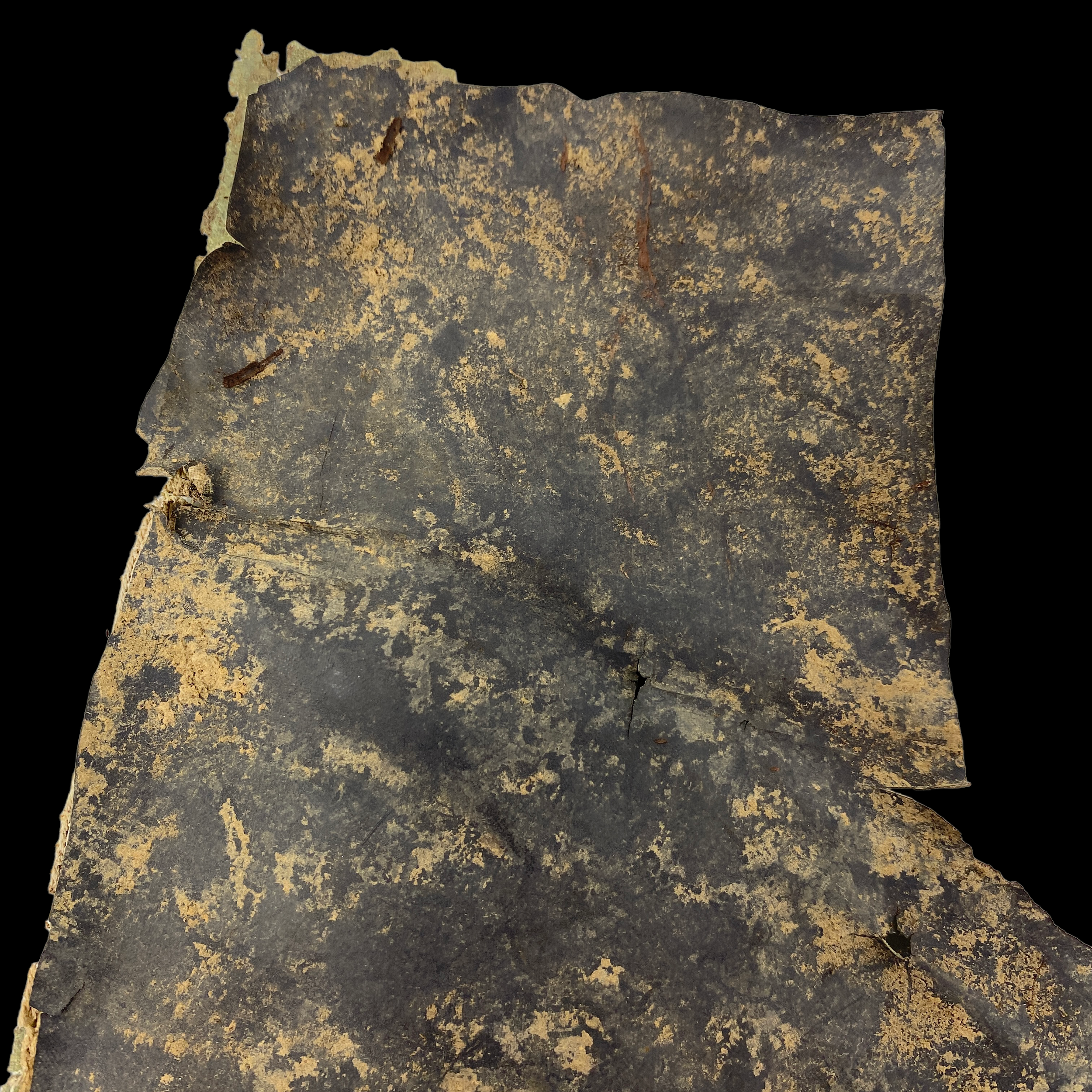 PhotoRoom_129_20221214_175633.PNG