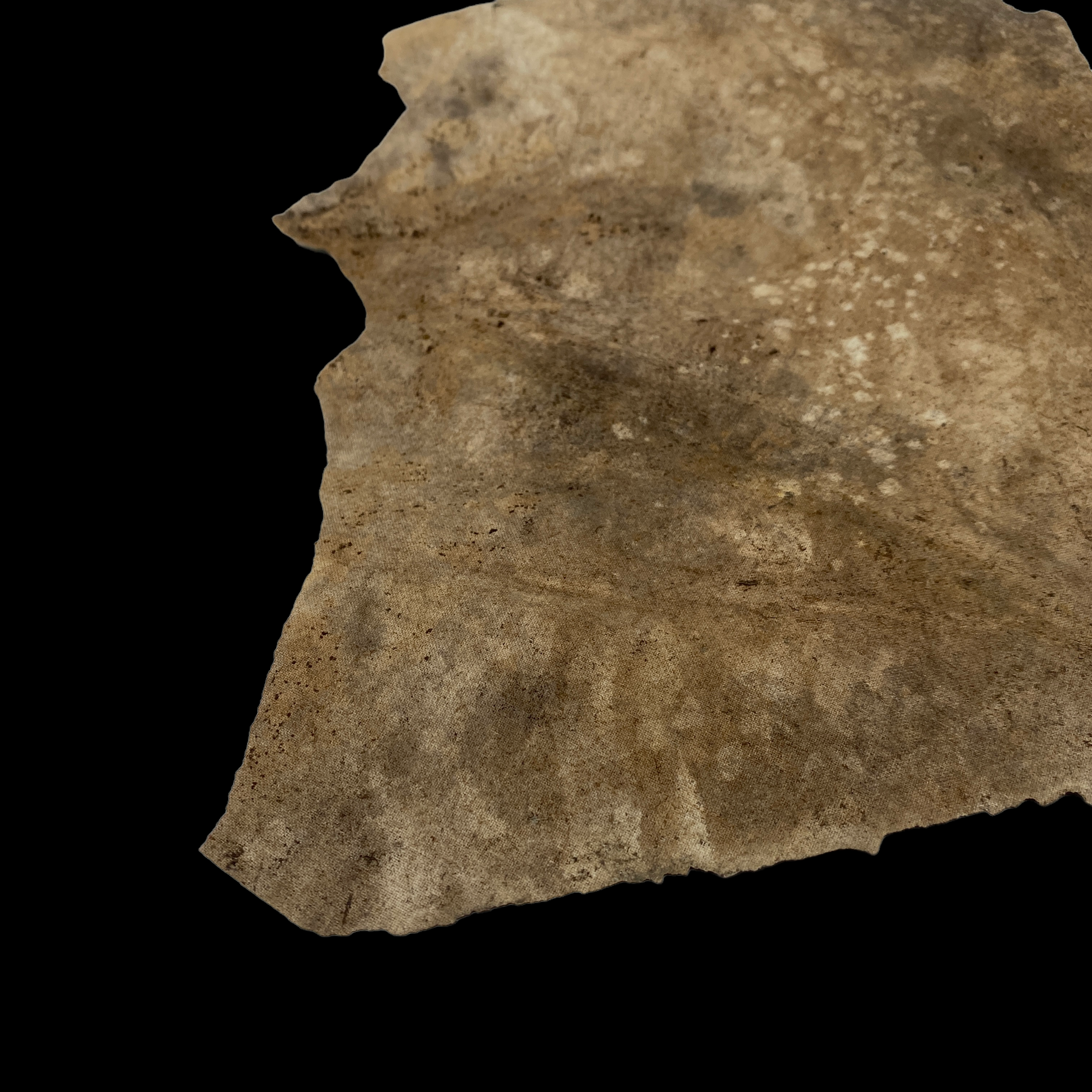 PhotoRoom_152_20221214_175633.PNG