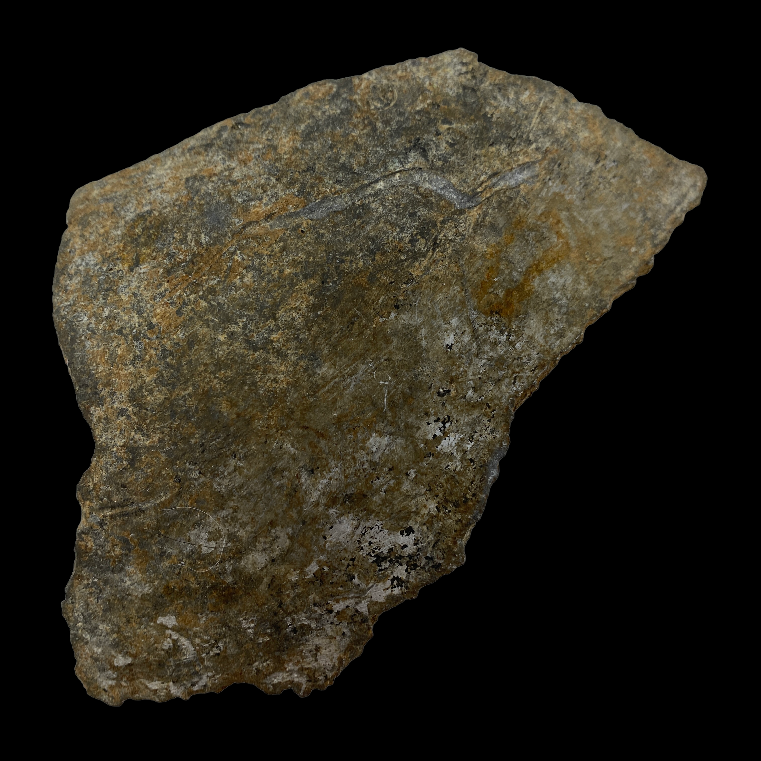 PhotoRoom_059_20221216_171909.PNG