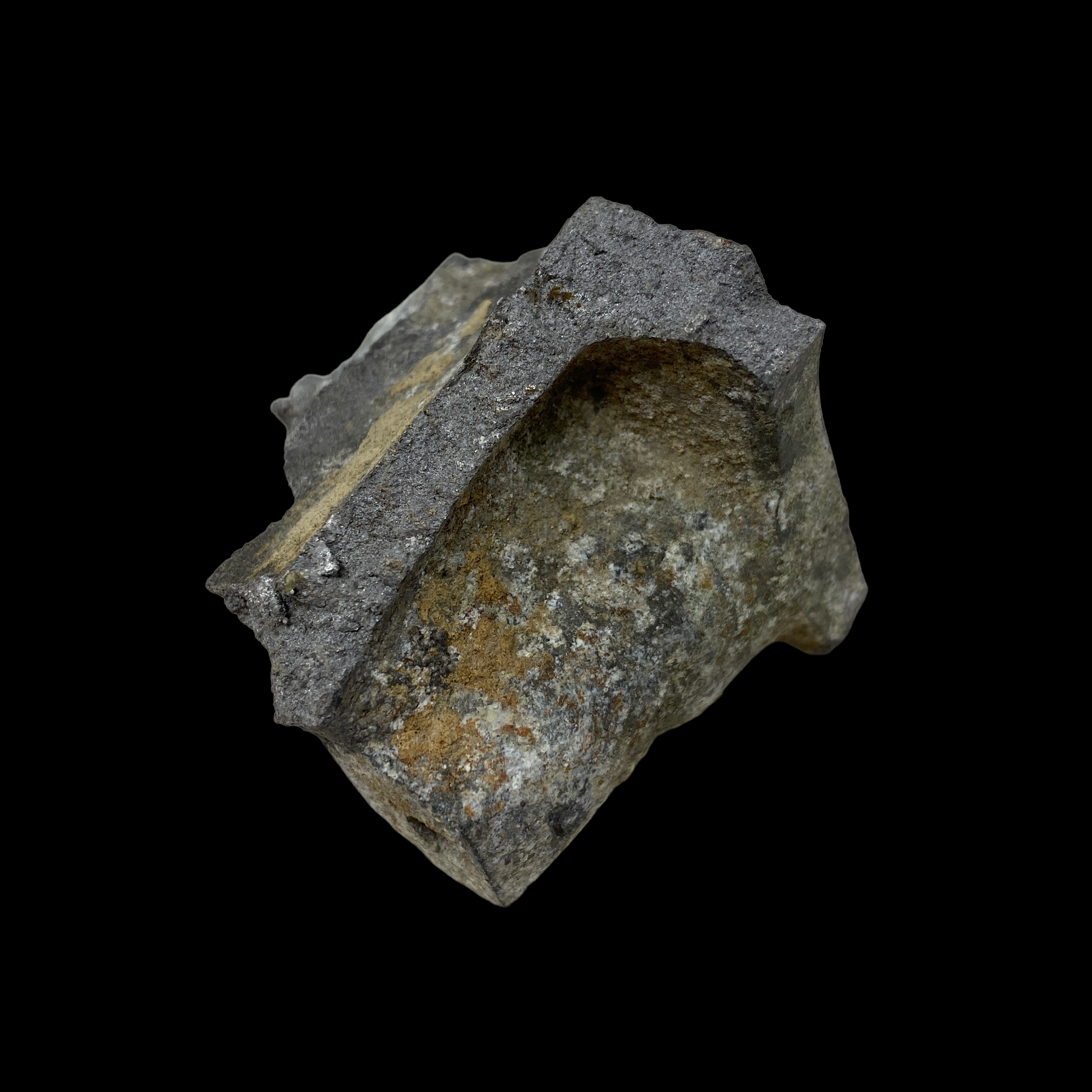 PhotoRoom_034_20221216_172656.PNG