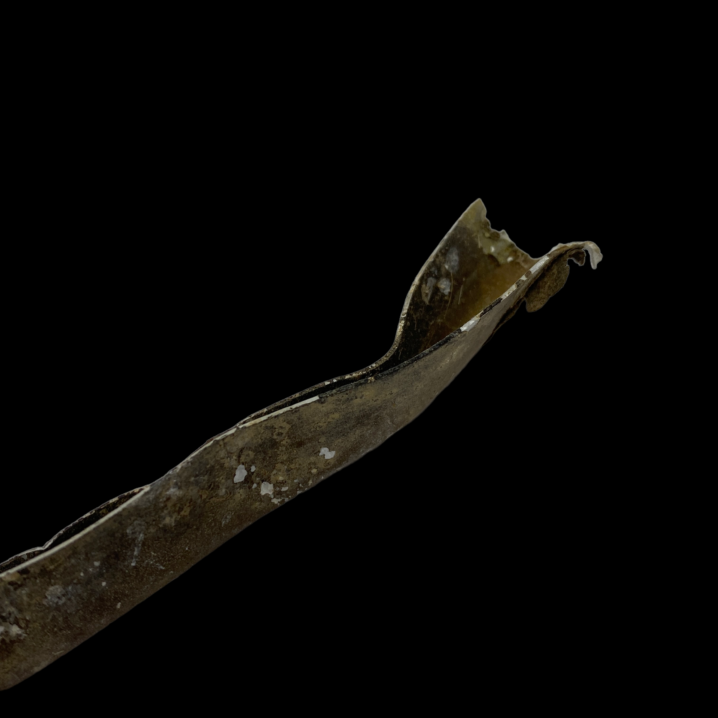 PhotoRoom_023_20230114_153009.PNG