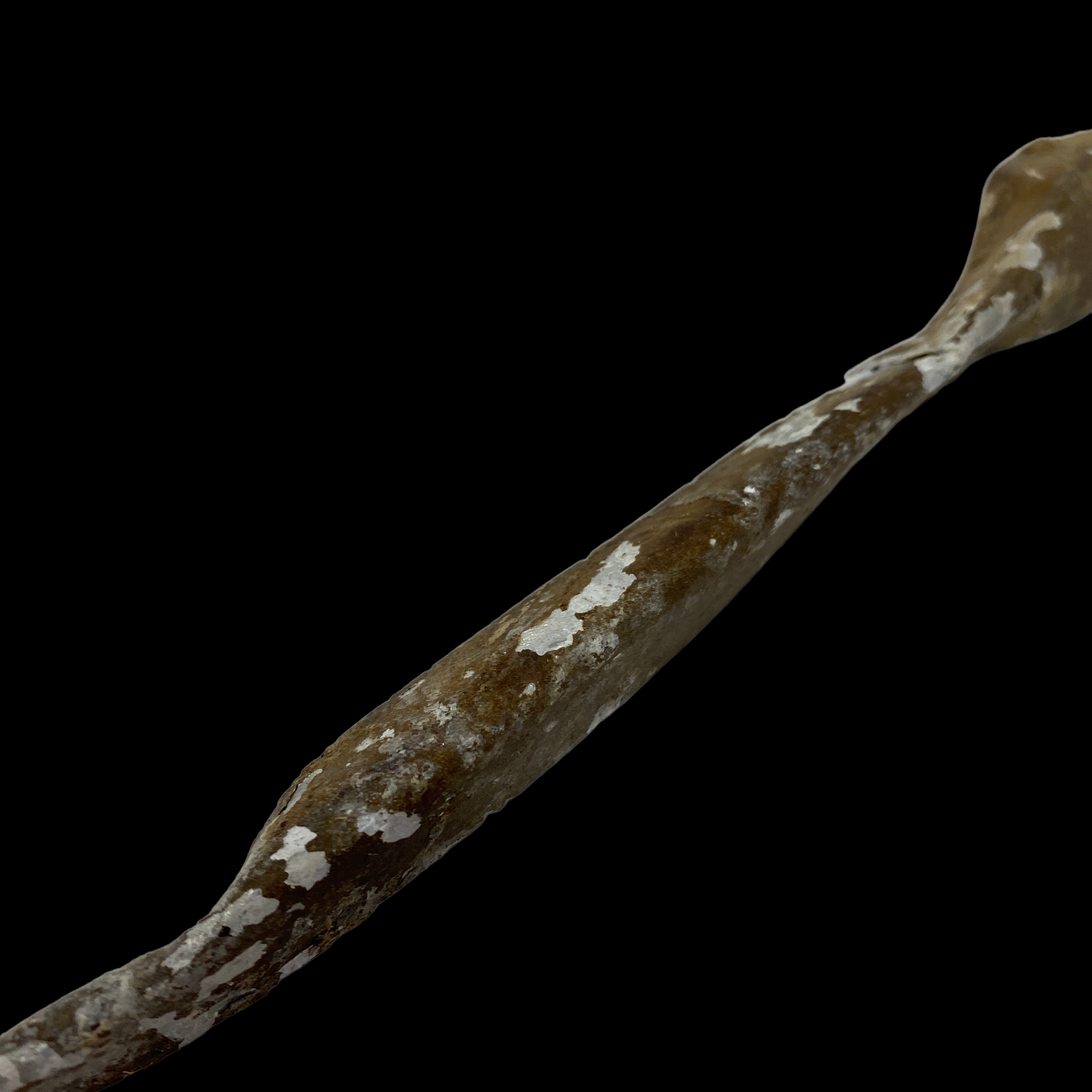 PhotoRoom_131_20230114_153010.PNG