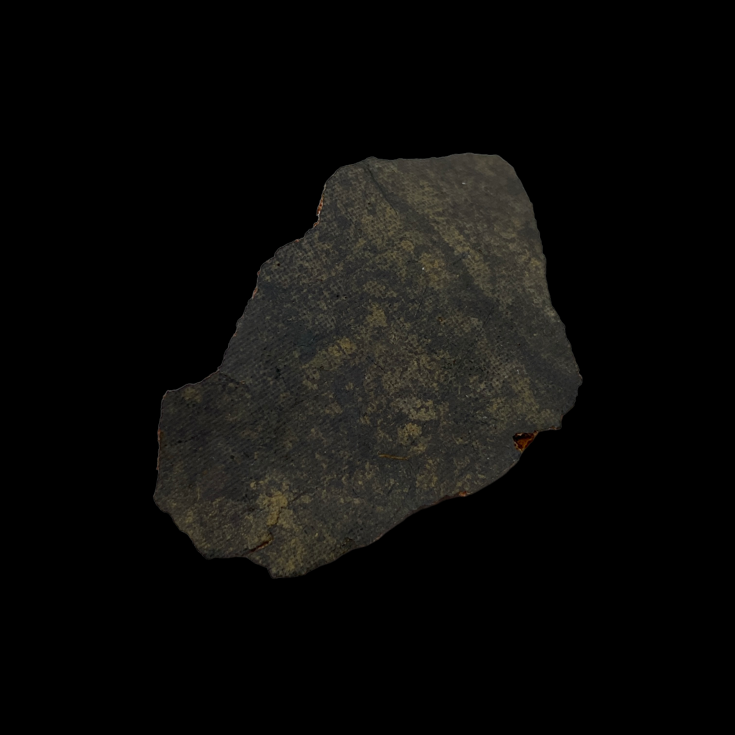 PhotoRoom_150_20230114_153010.PNG
