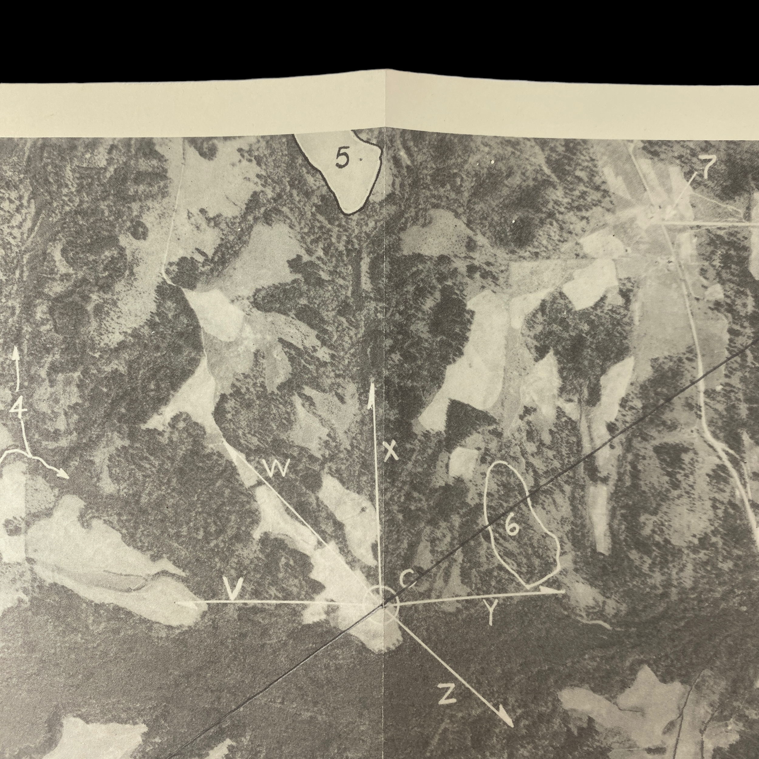 PhotoRoom_035_20230122_151030.PNG
