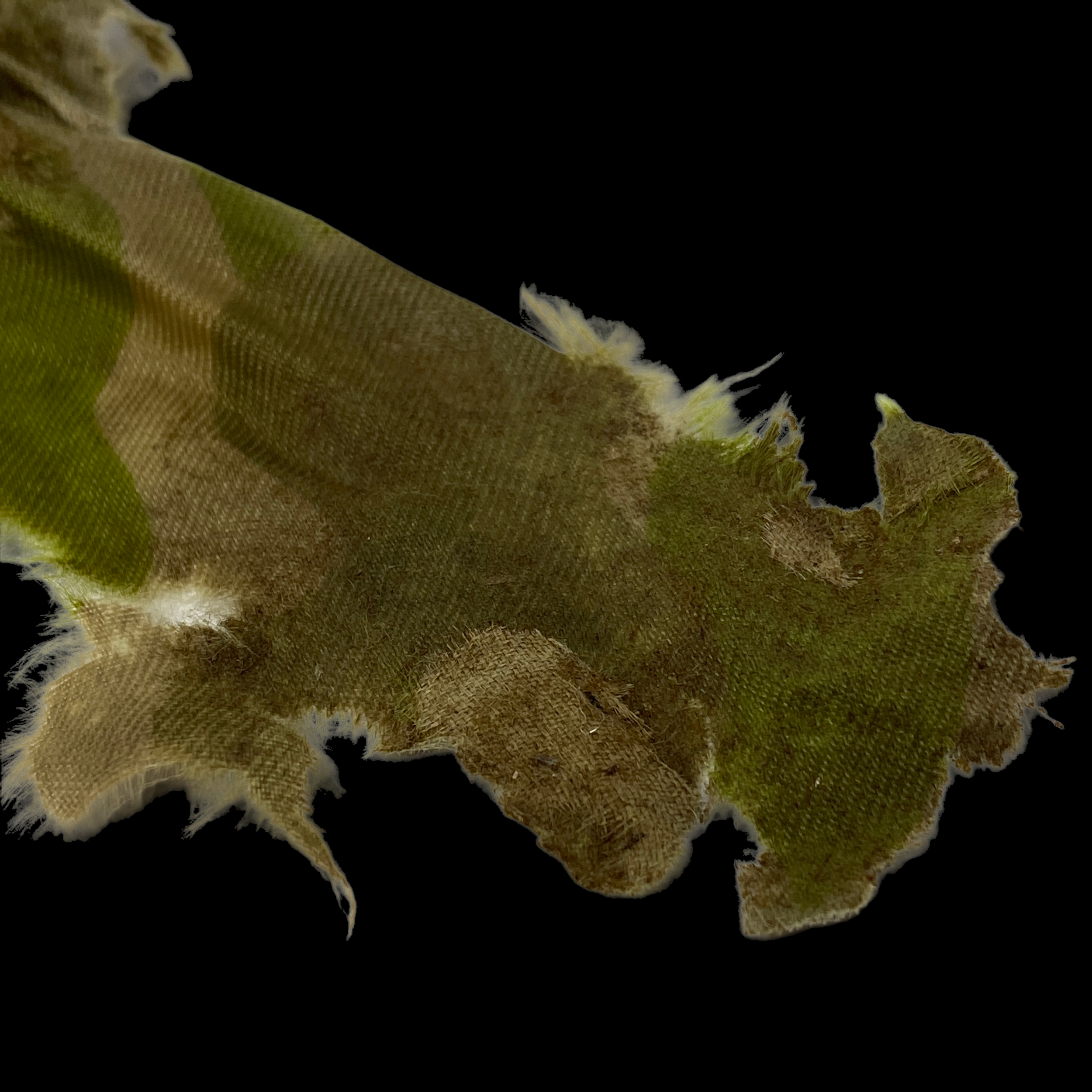 PhotoRoom_019_20230125_183327.PNG