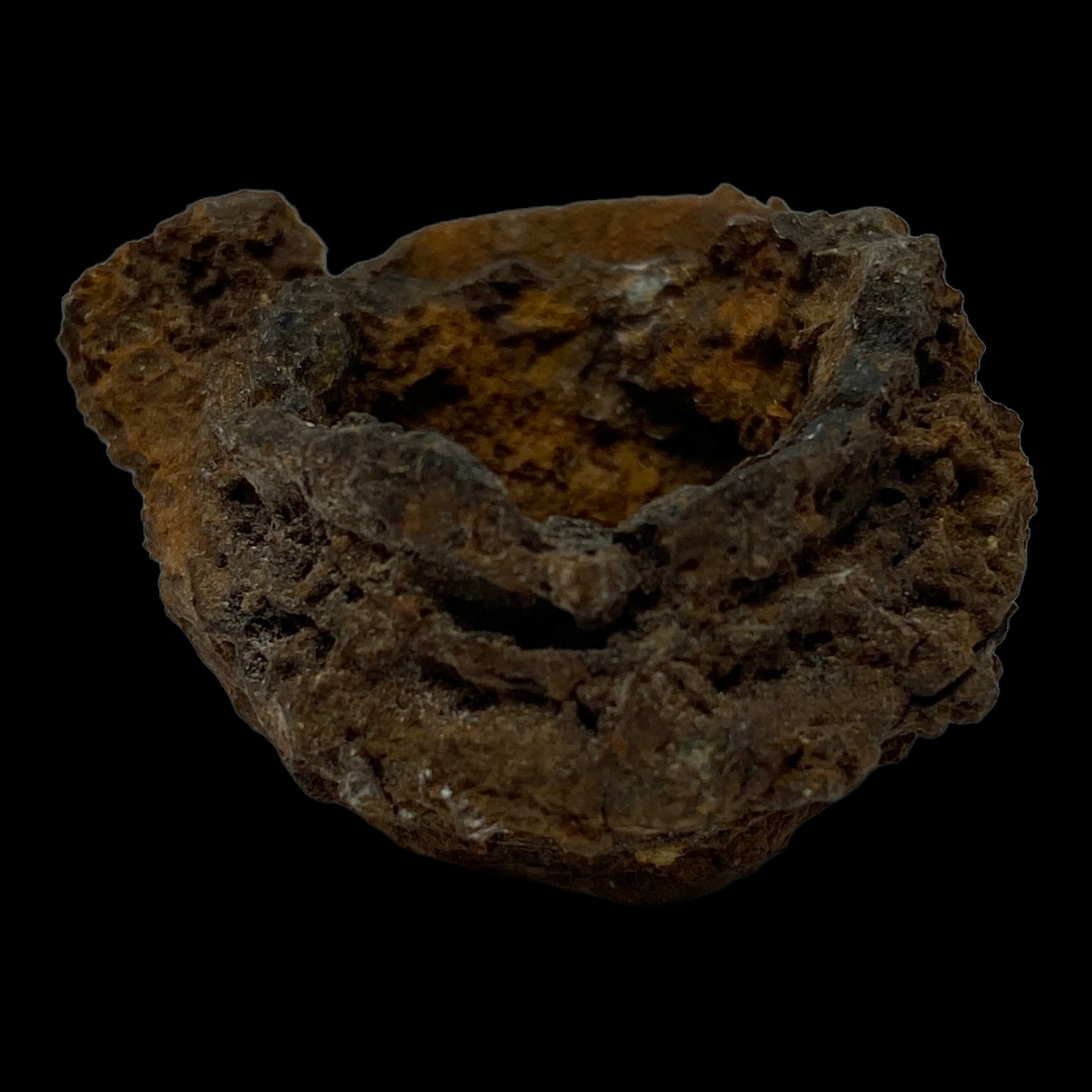 PhotoRoom_011_20230221_104450.PNG