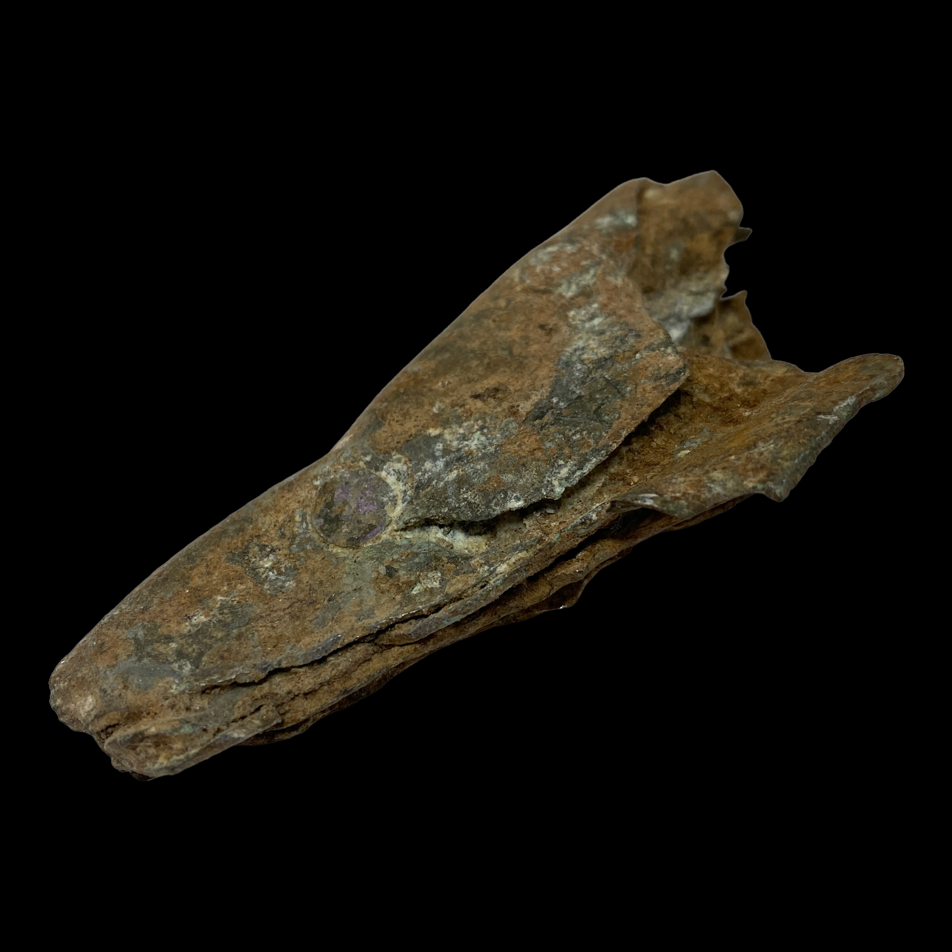 PhotoRoom_034_20230221_104450.PNG