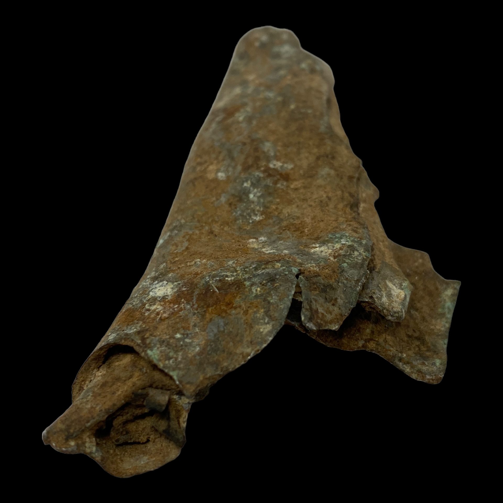 PhotoRoom_030_20230221_104450.PNG