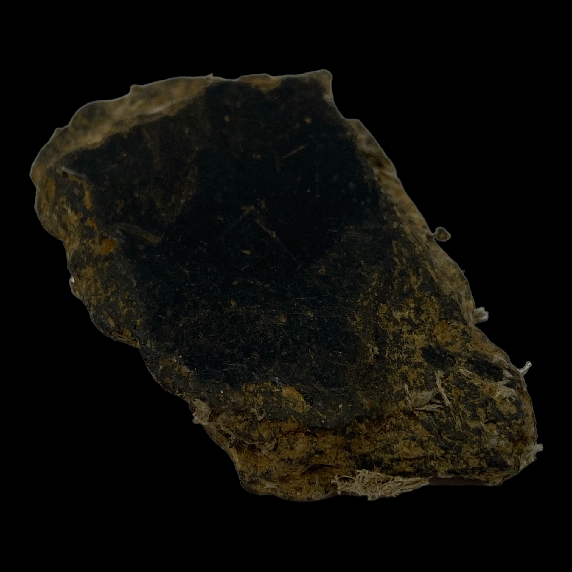 PhotoRoom_041_20230221_104450.PNG