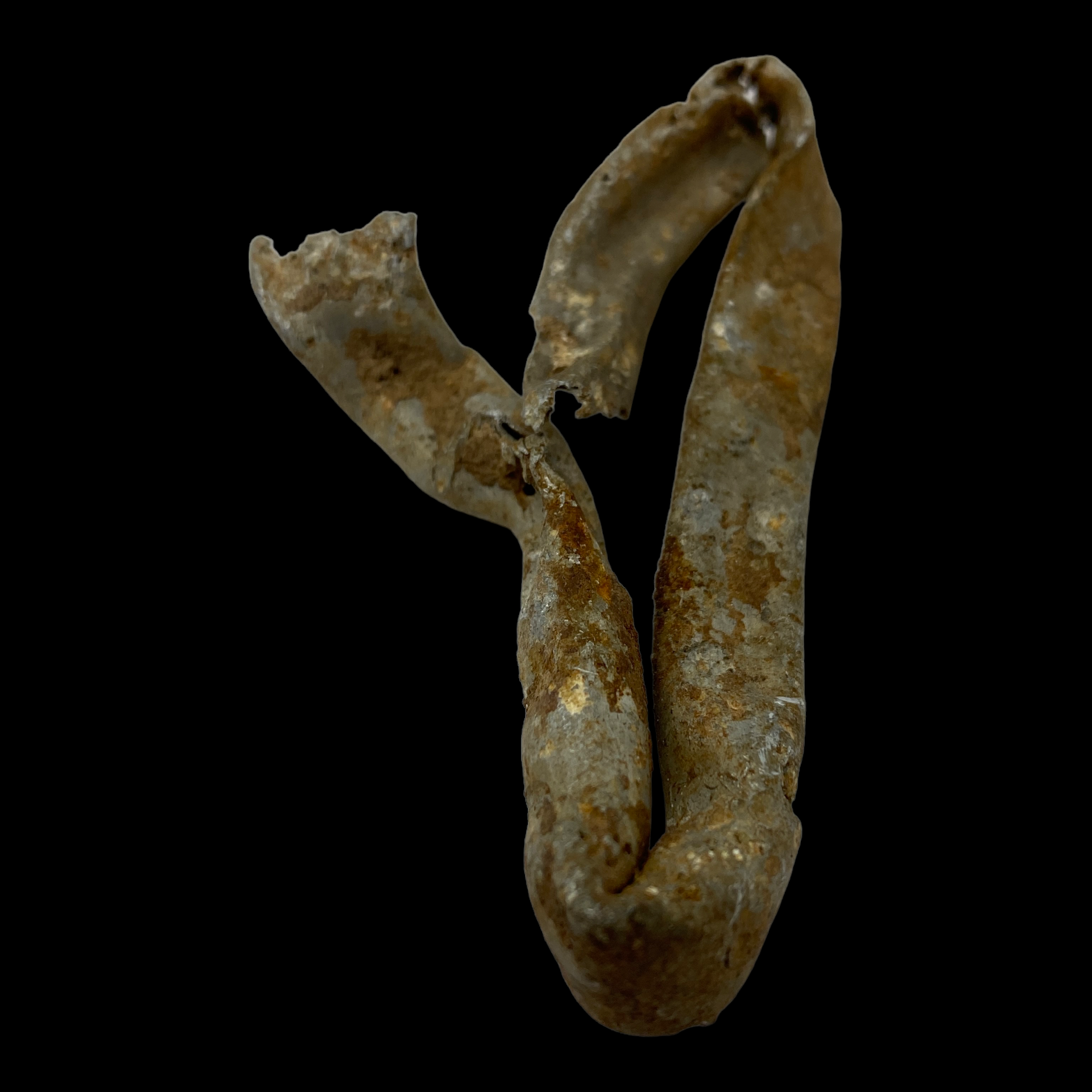 PhotoRoom_051_20230221_104450.PNG