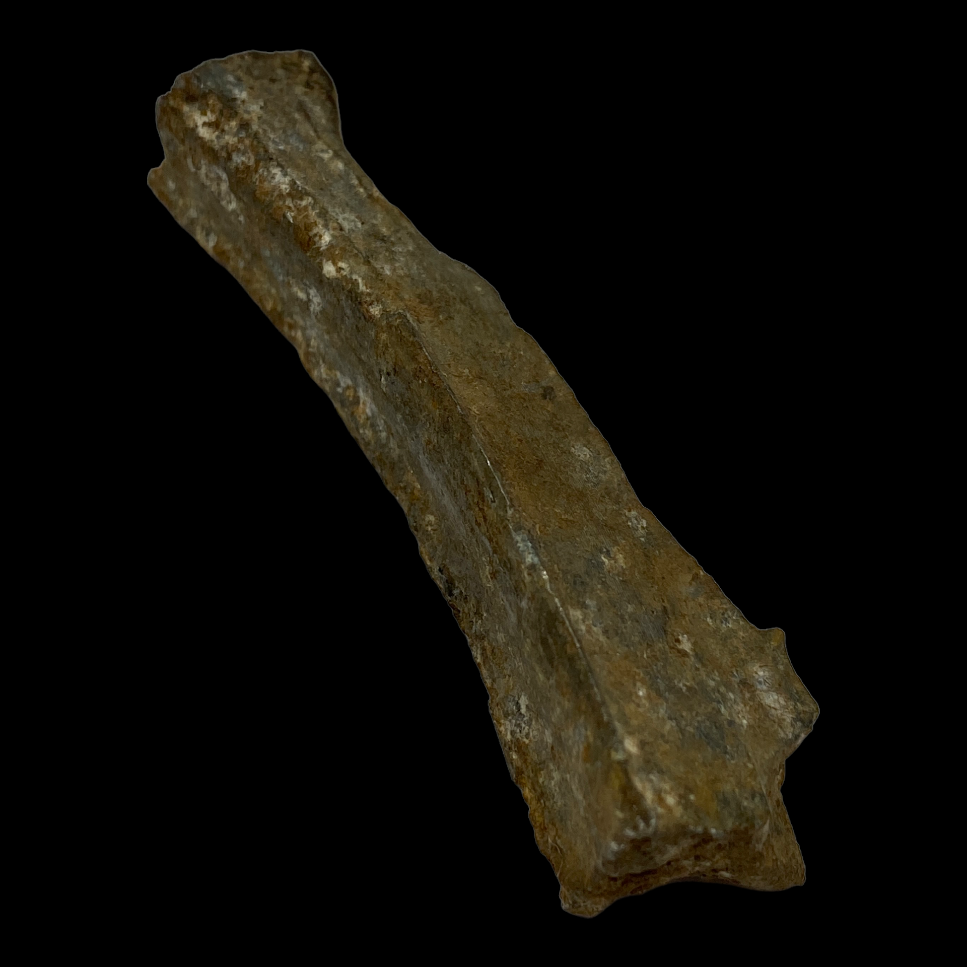 PhotoRoom_061_20230221_104450.PNG