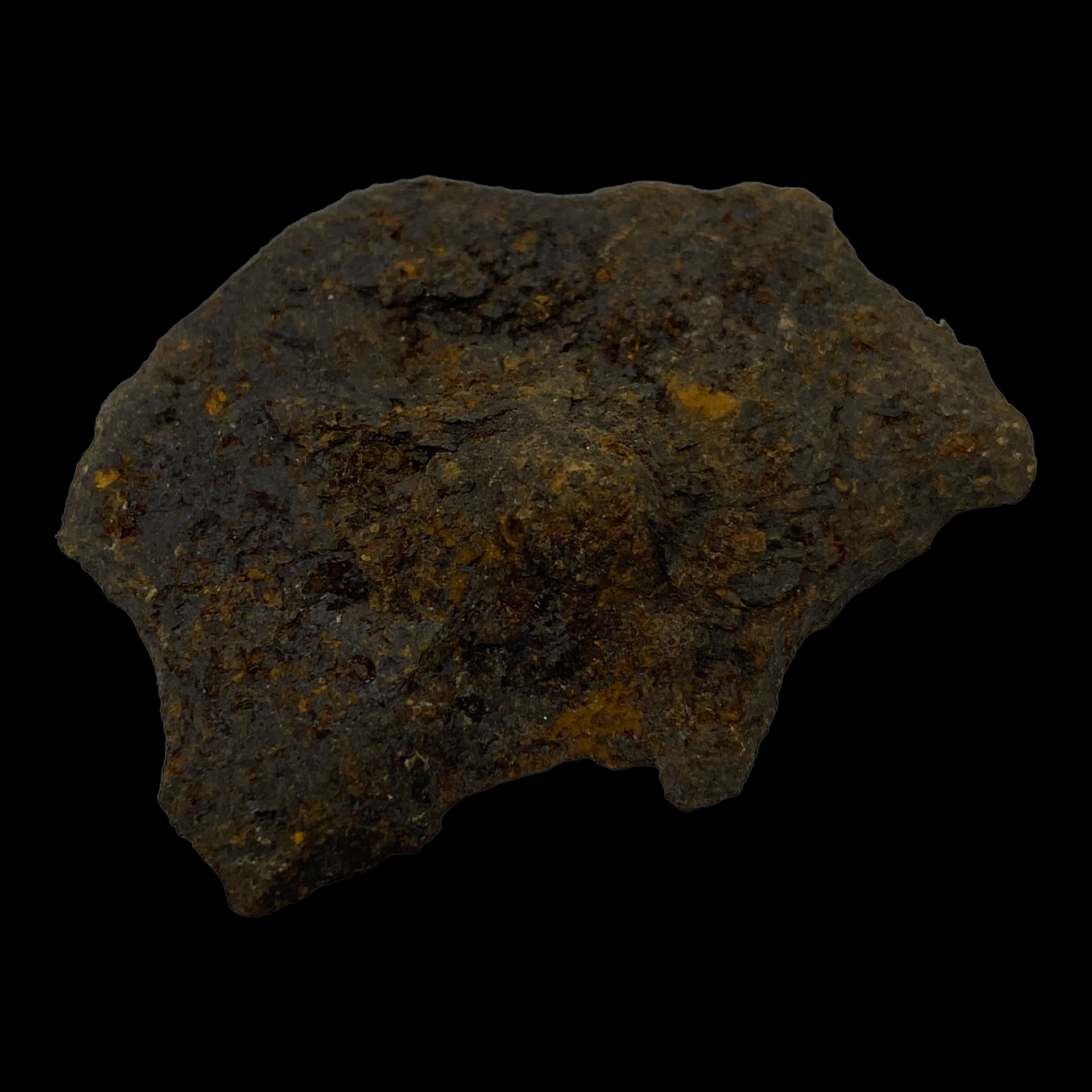 PhotoRoom_082_20230221_104450.PNG