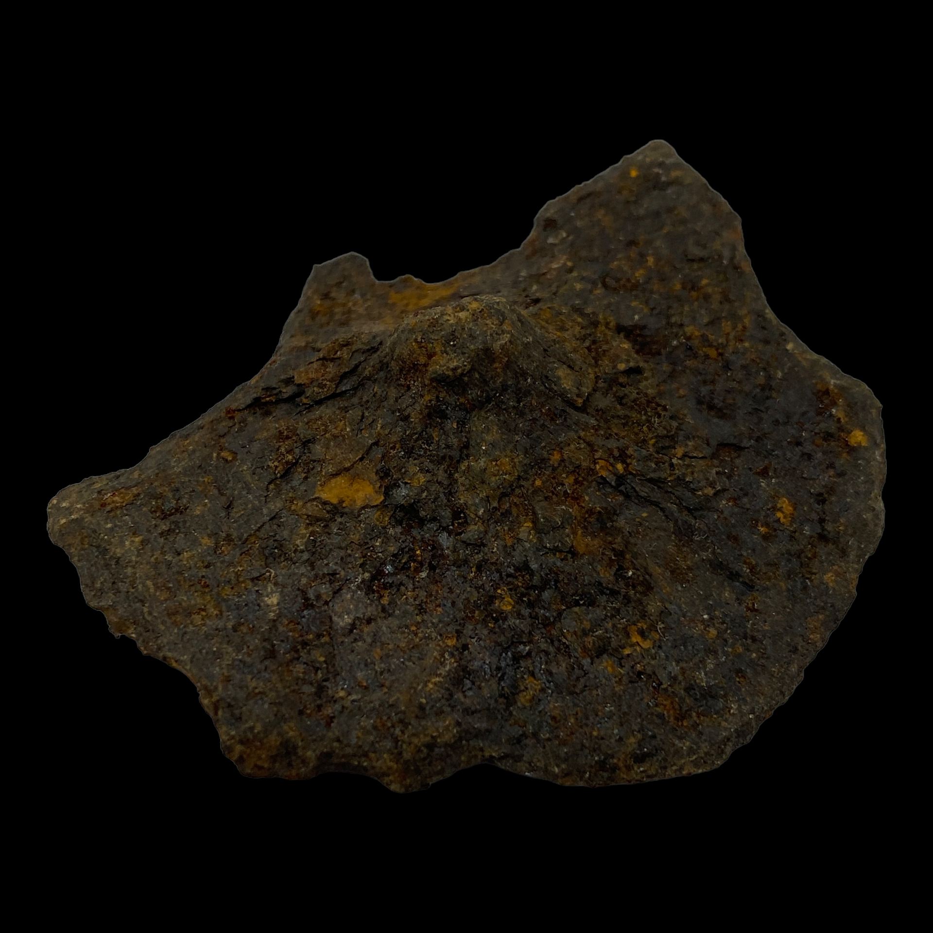 PhotoRoom_084_20230221_104450.PNG