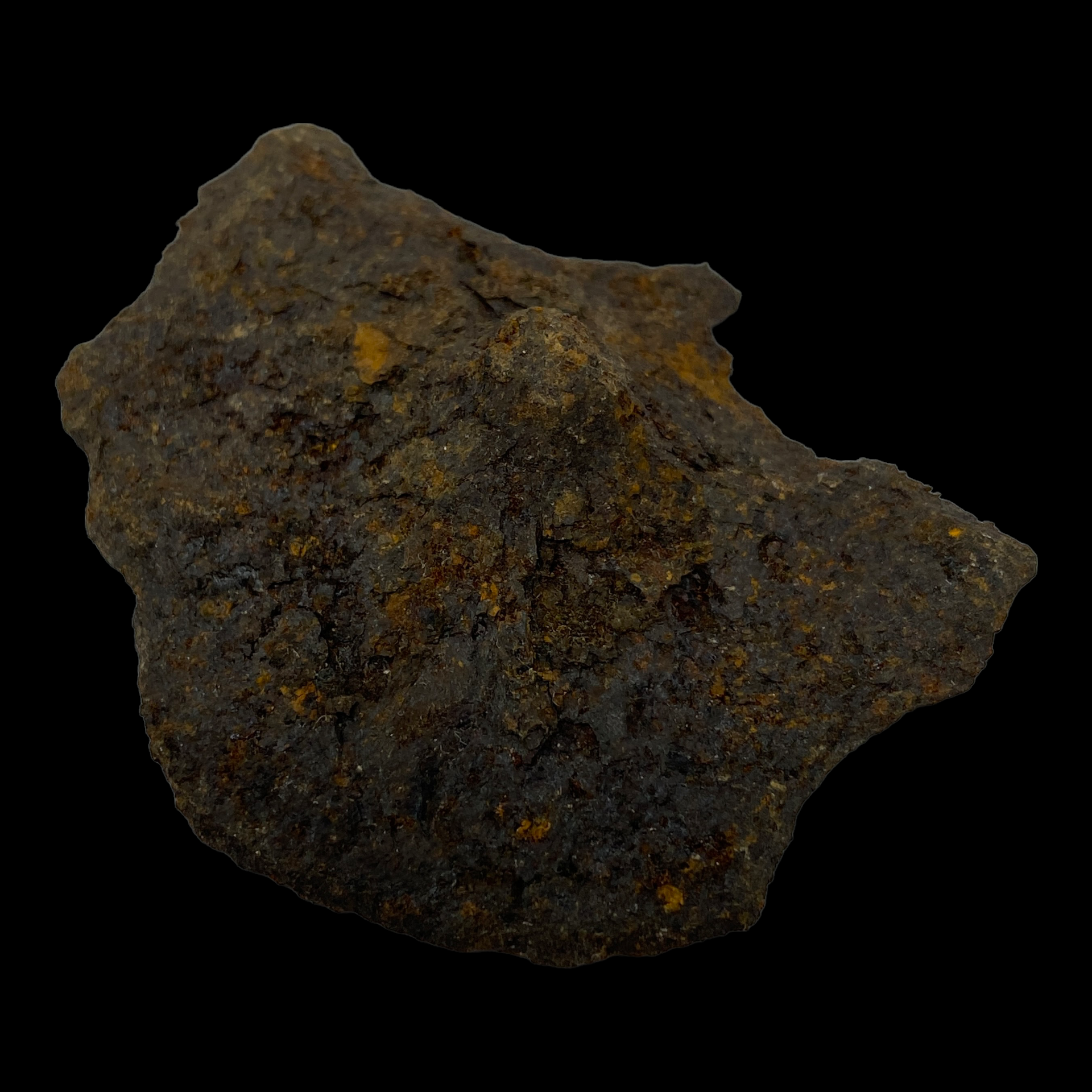 PhotoRoom_083_20230221_104450.PNG