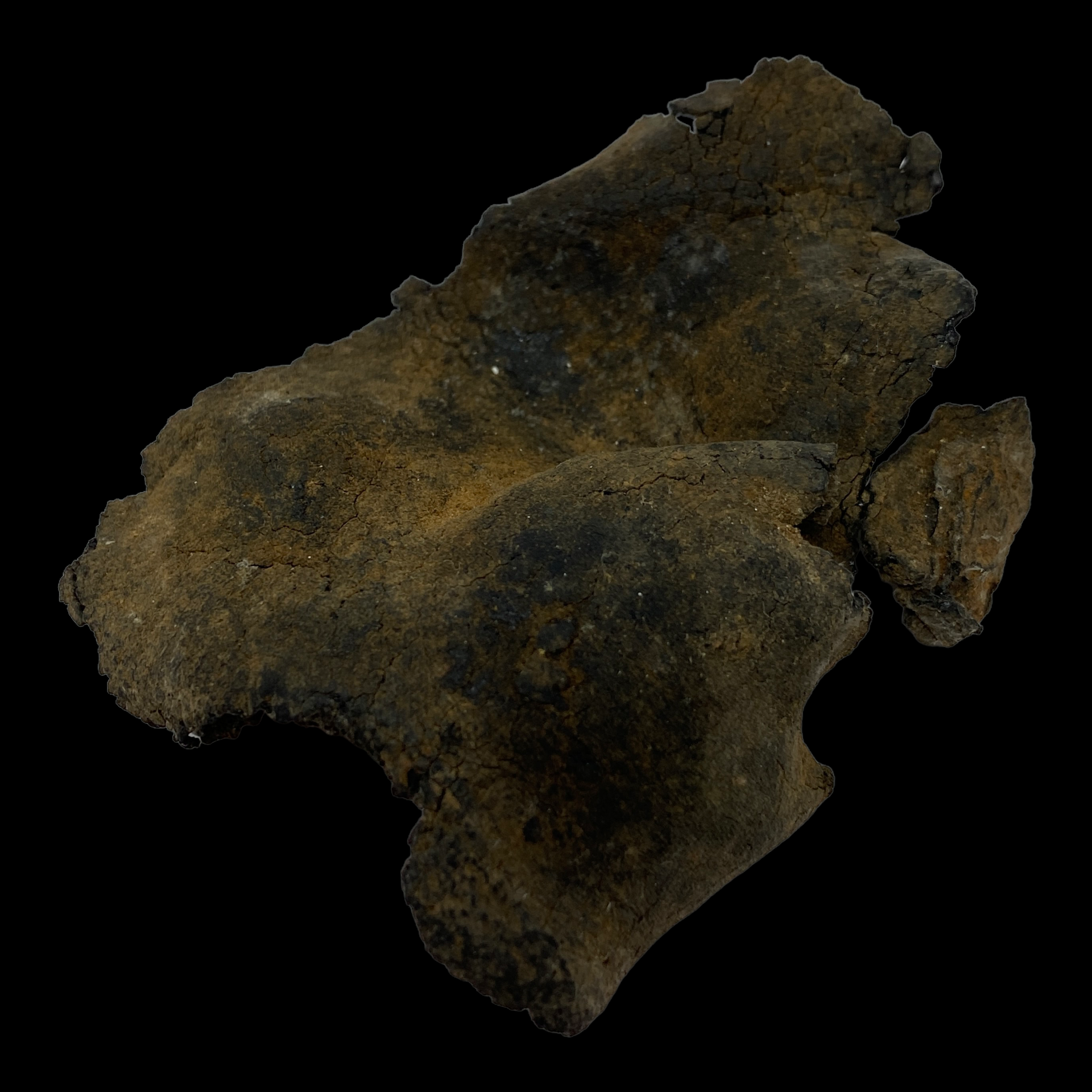 PhotoRoom_098_20230221_104451.PNG