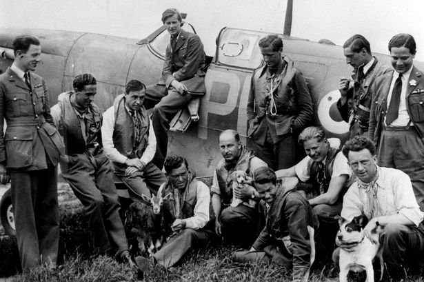 RAF-pilots-fighting-the-air-war-over-occupied-France-relaxing-with-their-mascots-beside-a-Spitfire-aircraft-during-the.jpg