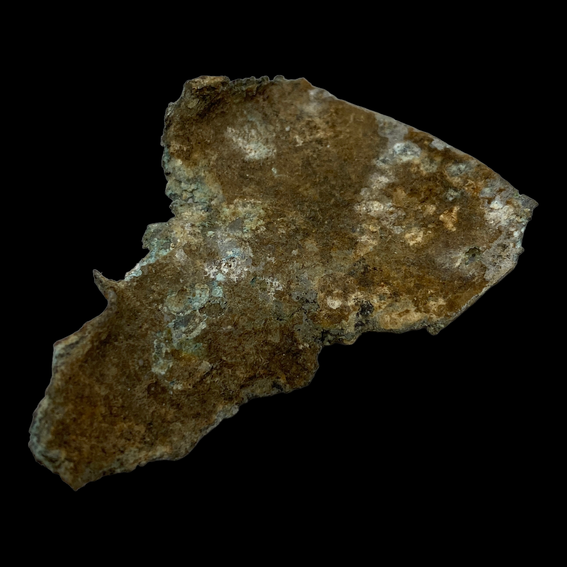 PhotoRoom_010_20230222_213920.PNG