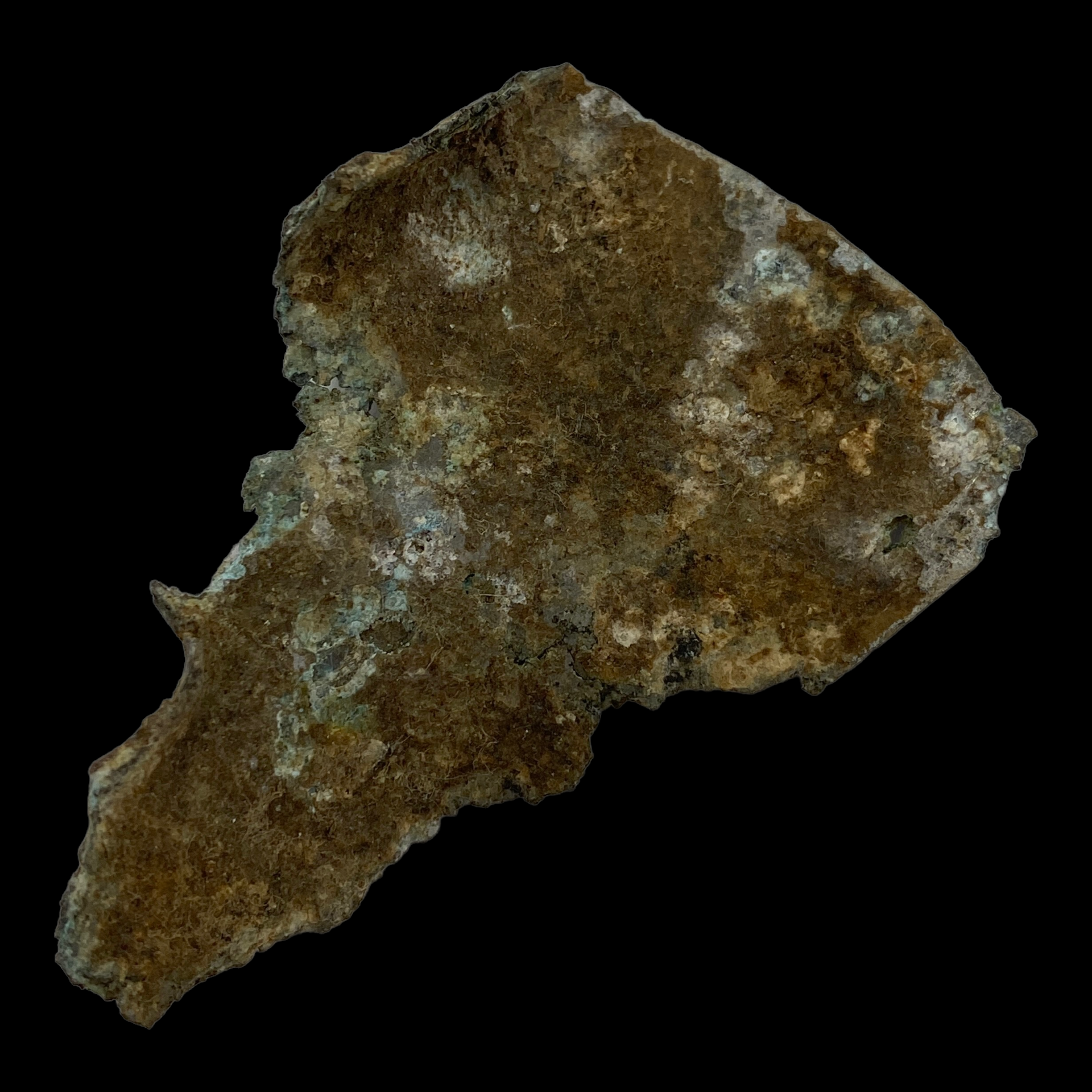 PhotoRoom_009_20230222_213920.PNG