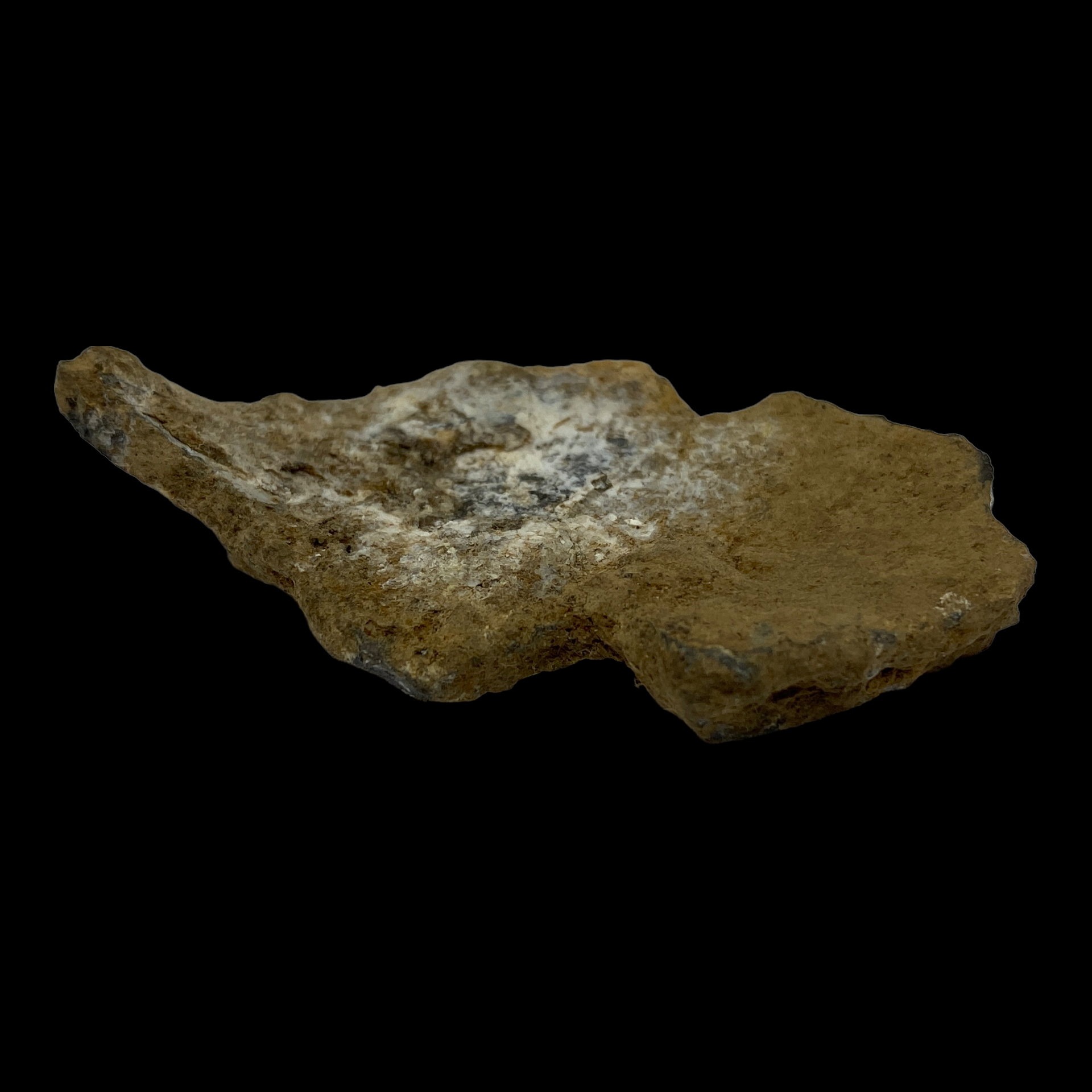PhotoRoom_021_20230222_213920.PNG
