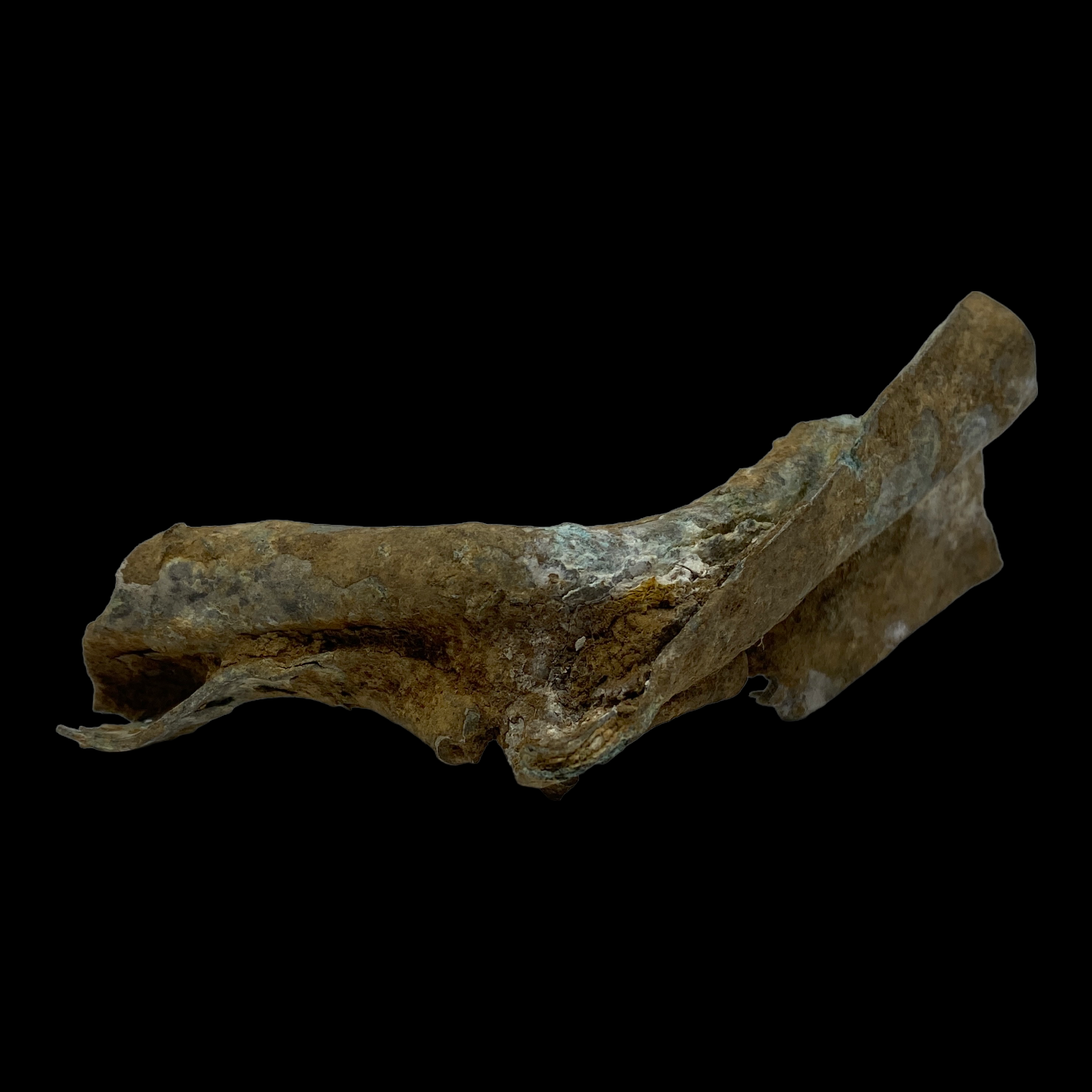 PhotoRoom_023_20230222_213920.PNG