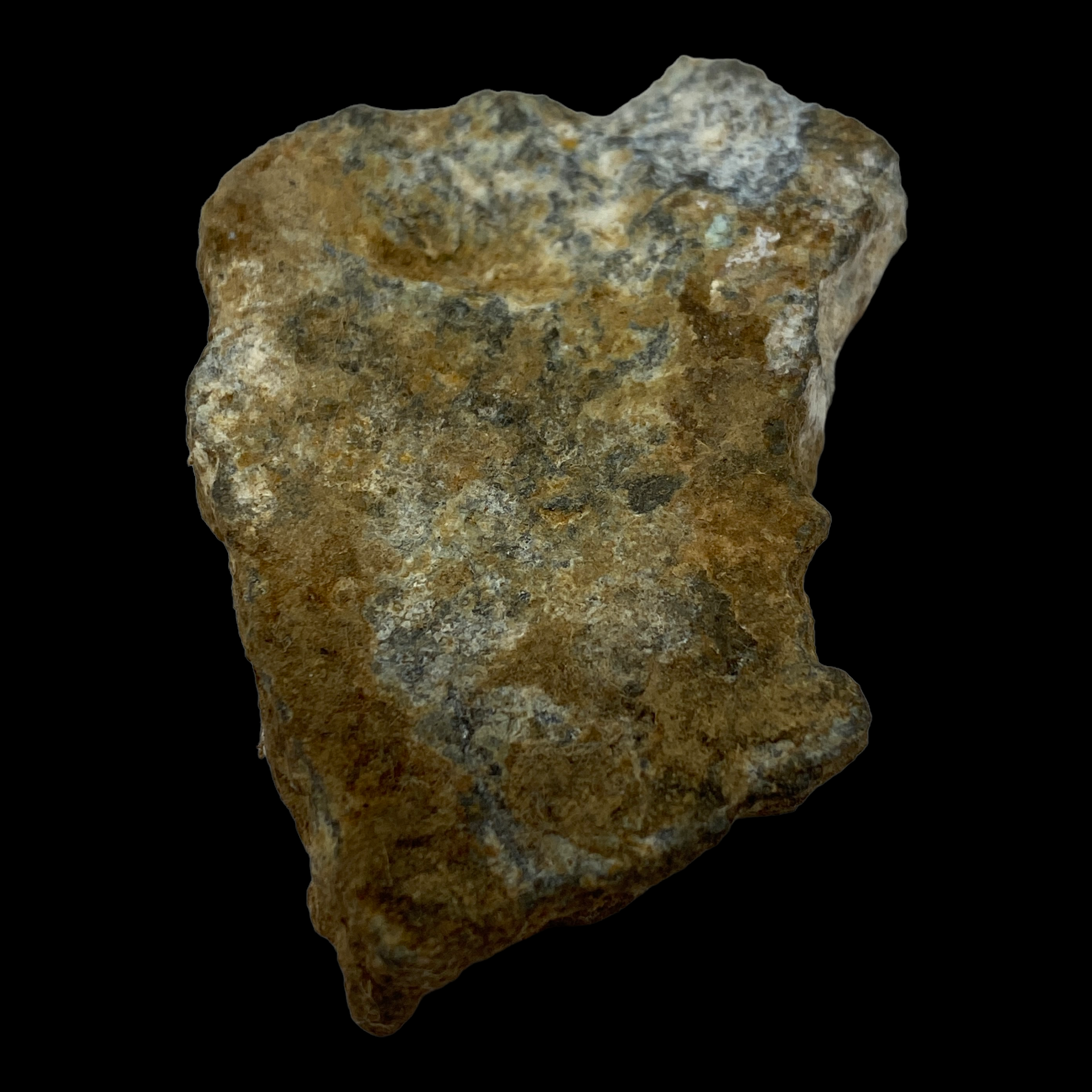 PhotoRoom_038_20230222_213921.PNG