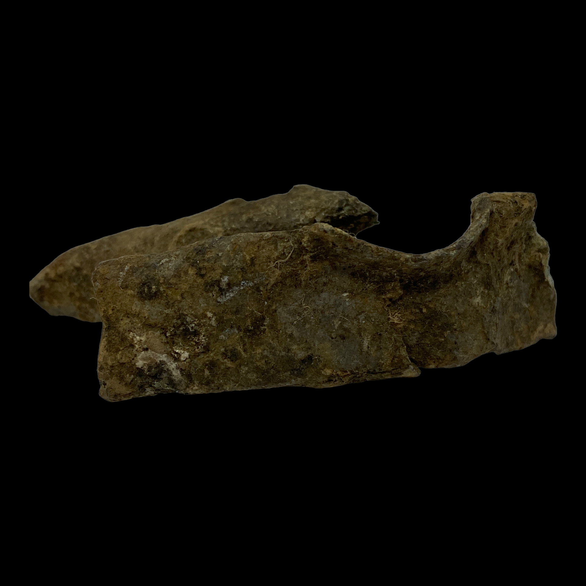 PhotoRoom_053_20230222_213921.PNG