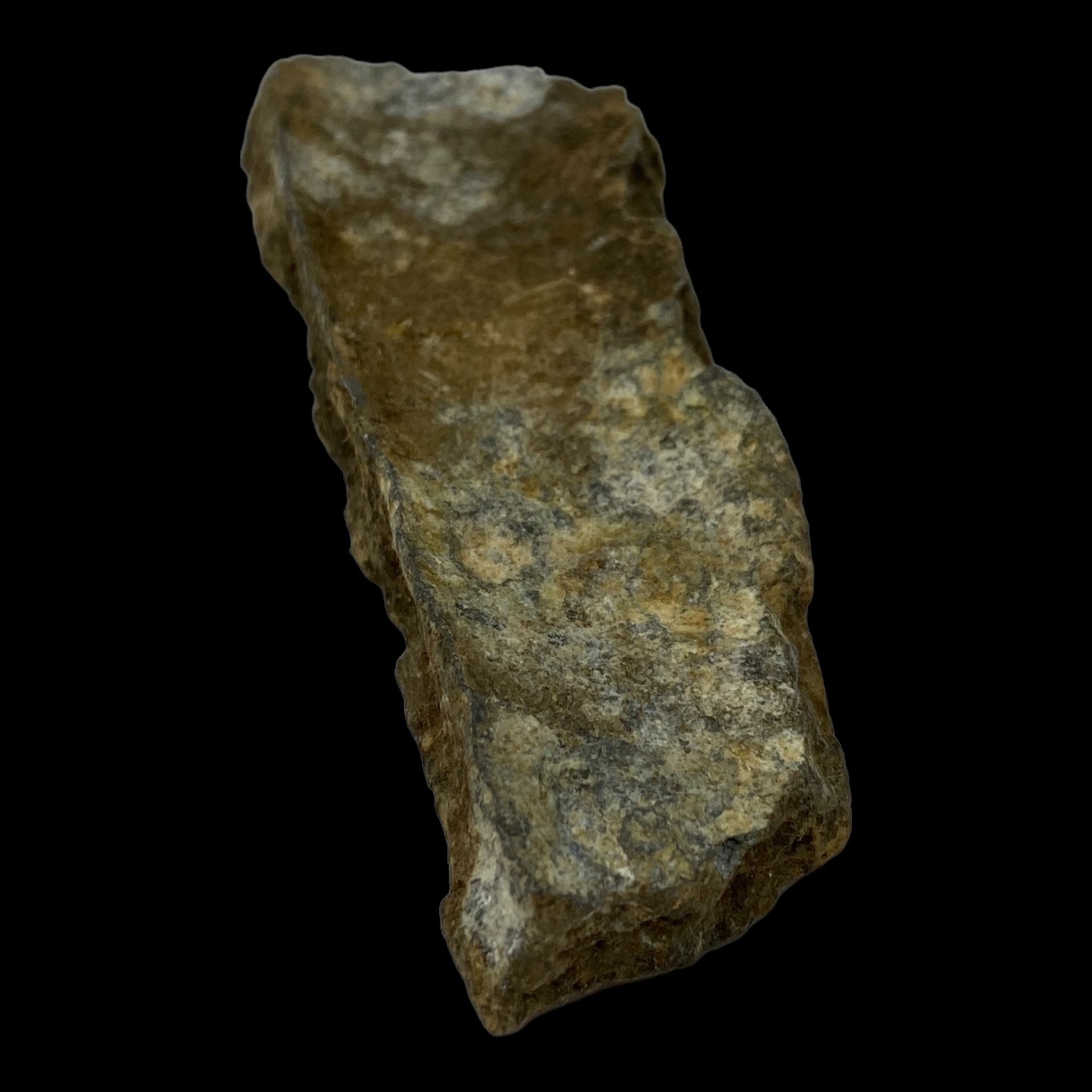 PhotoRoom_082_20230222_213921.PNG