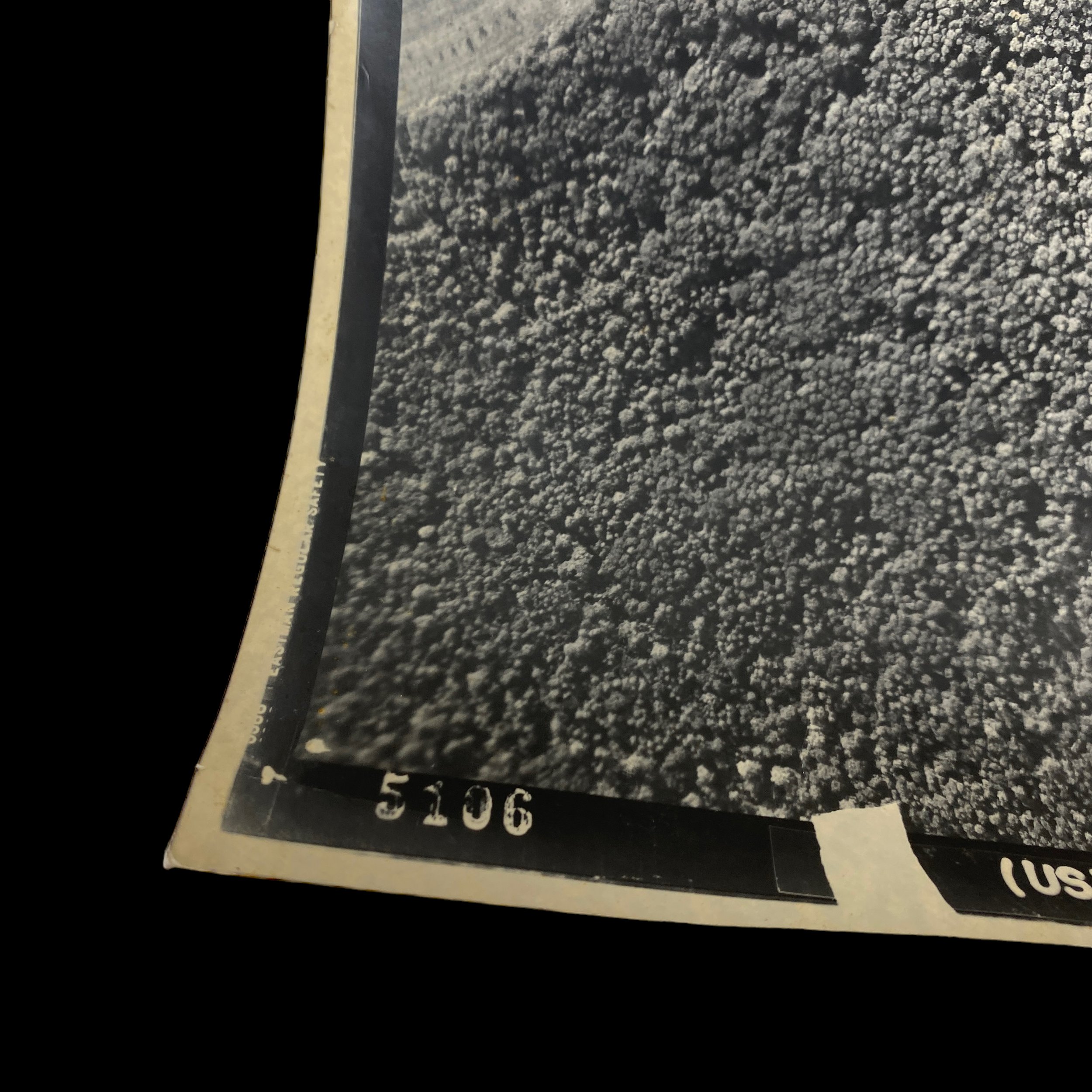 PhotoRoom_156_20230820_200852.JPG