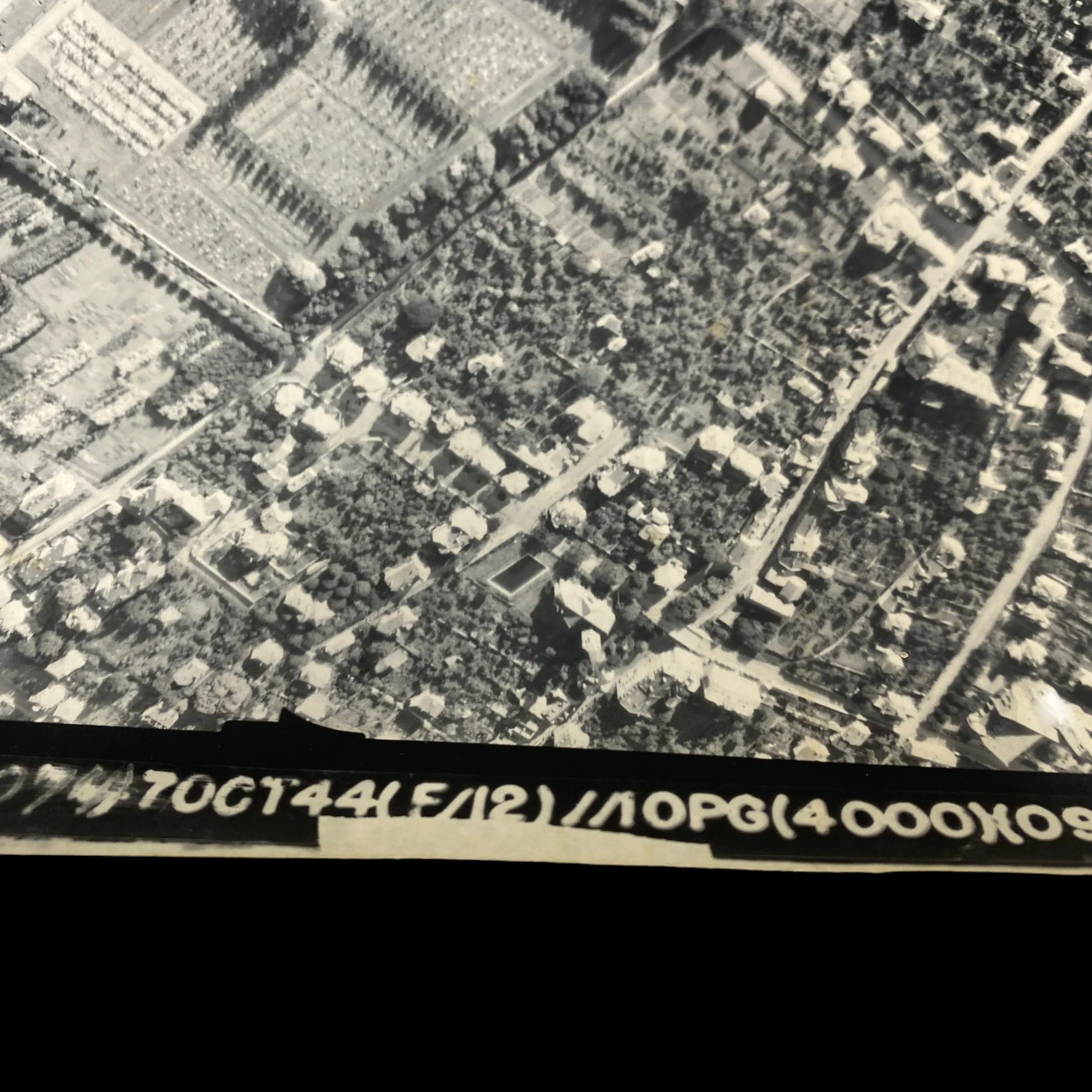 PhotoRoom_204_20230820_200852.JPG