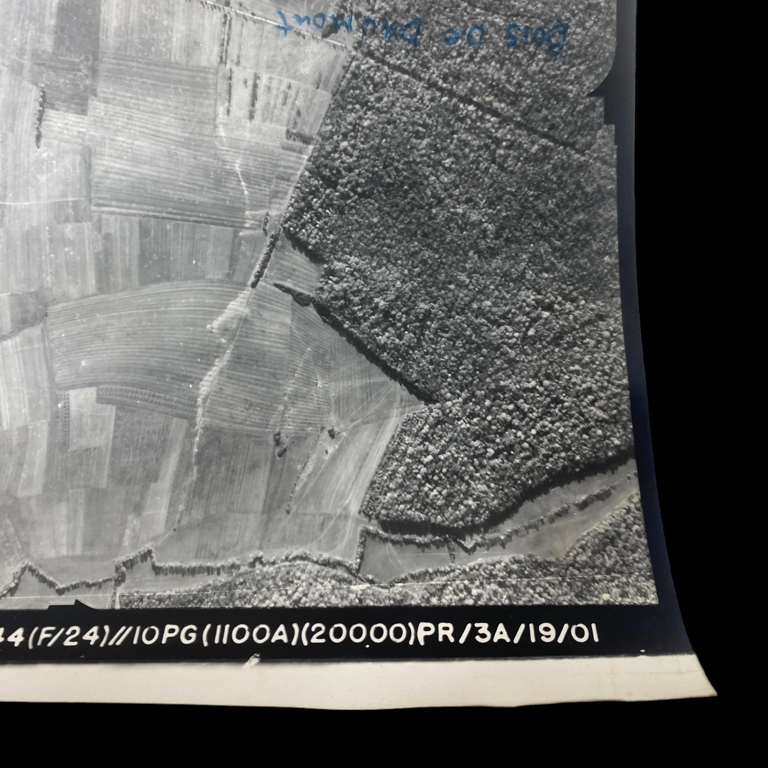 PhotoRoom_100_20230822_072028.JPG