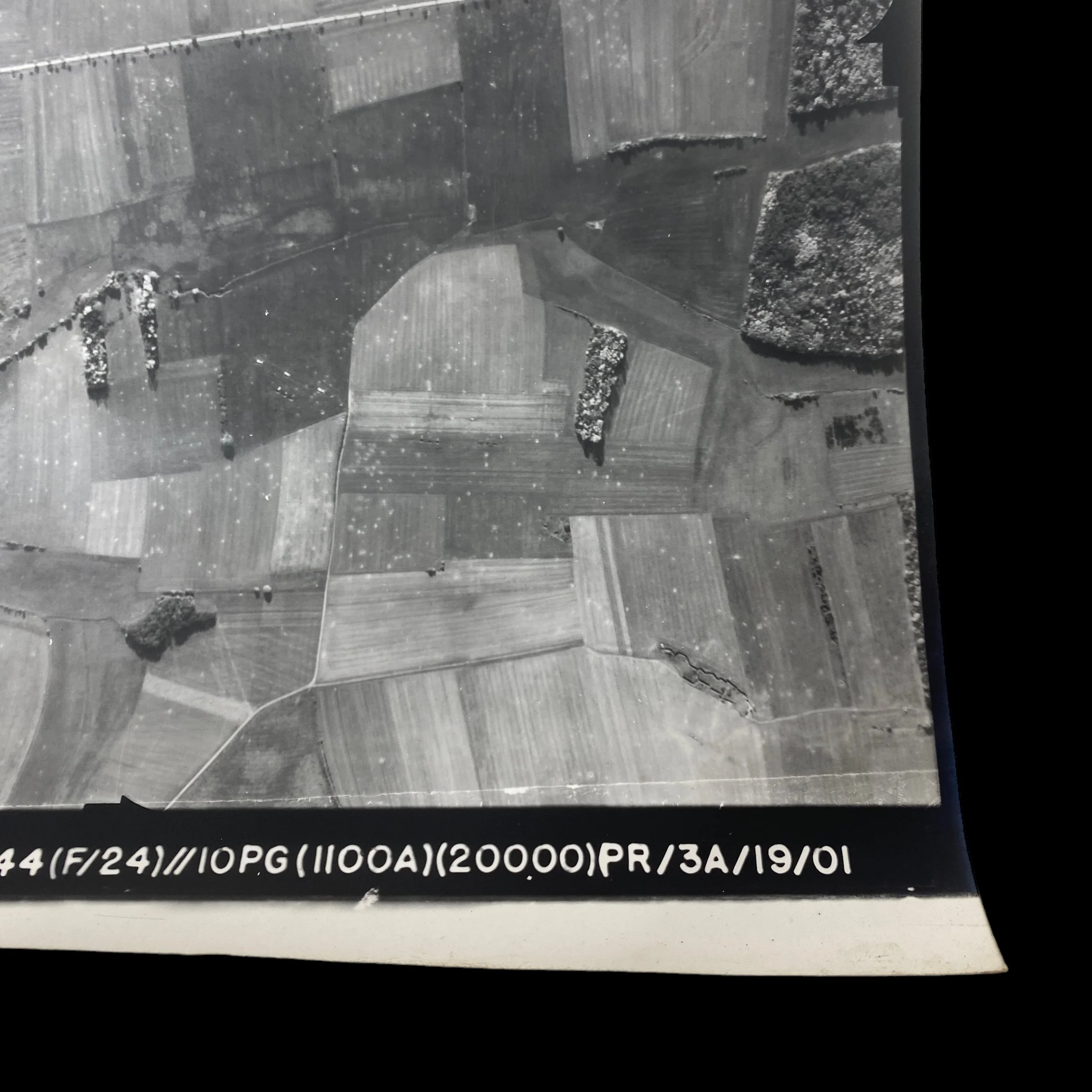 PhotoRoom_181_20230822_072029.JPG