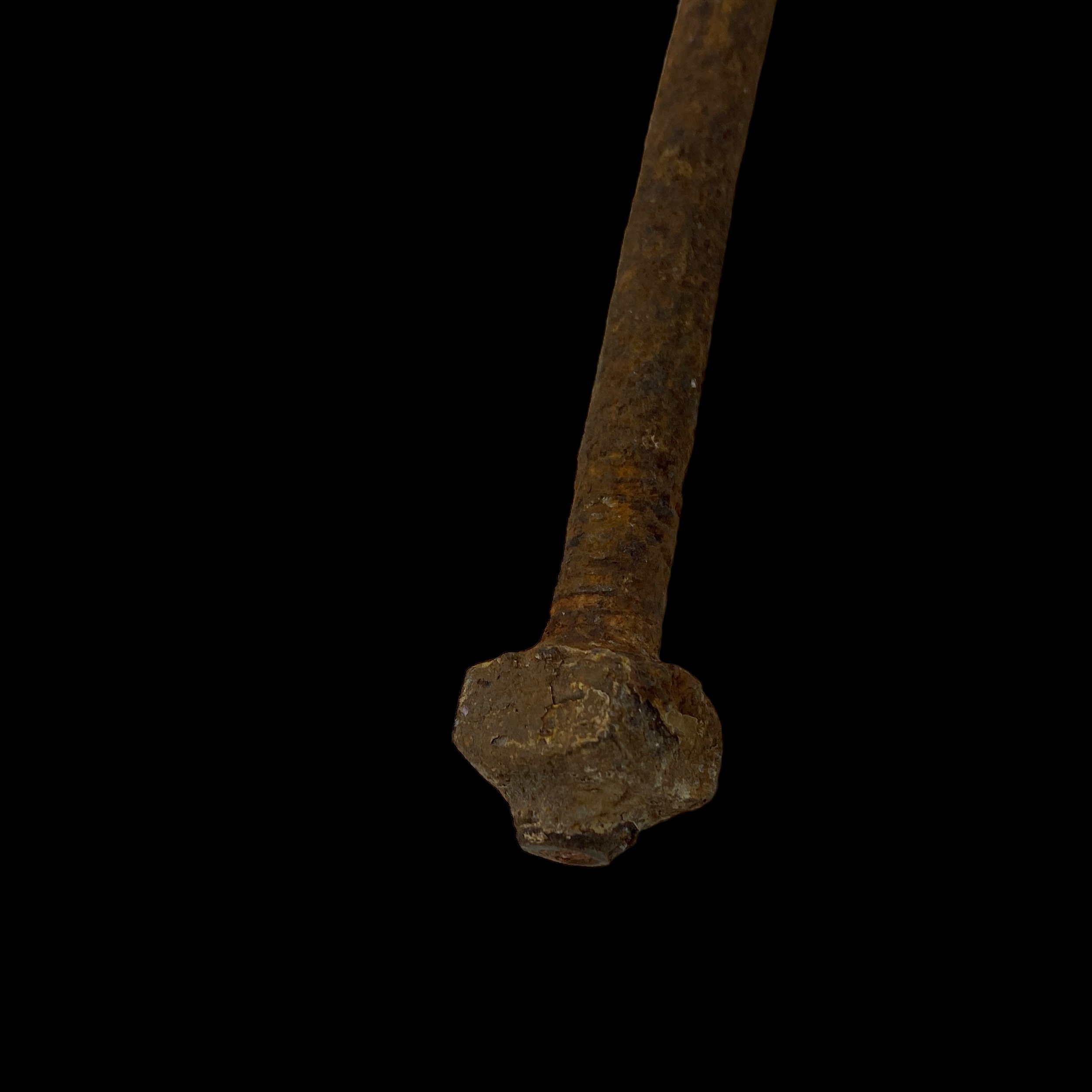 PhotoRoom_006_20230914_193537.JPG