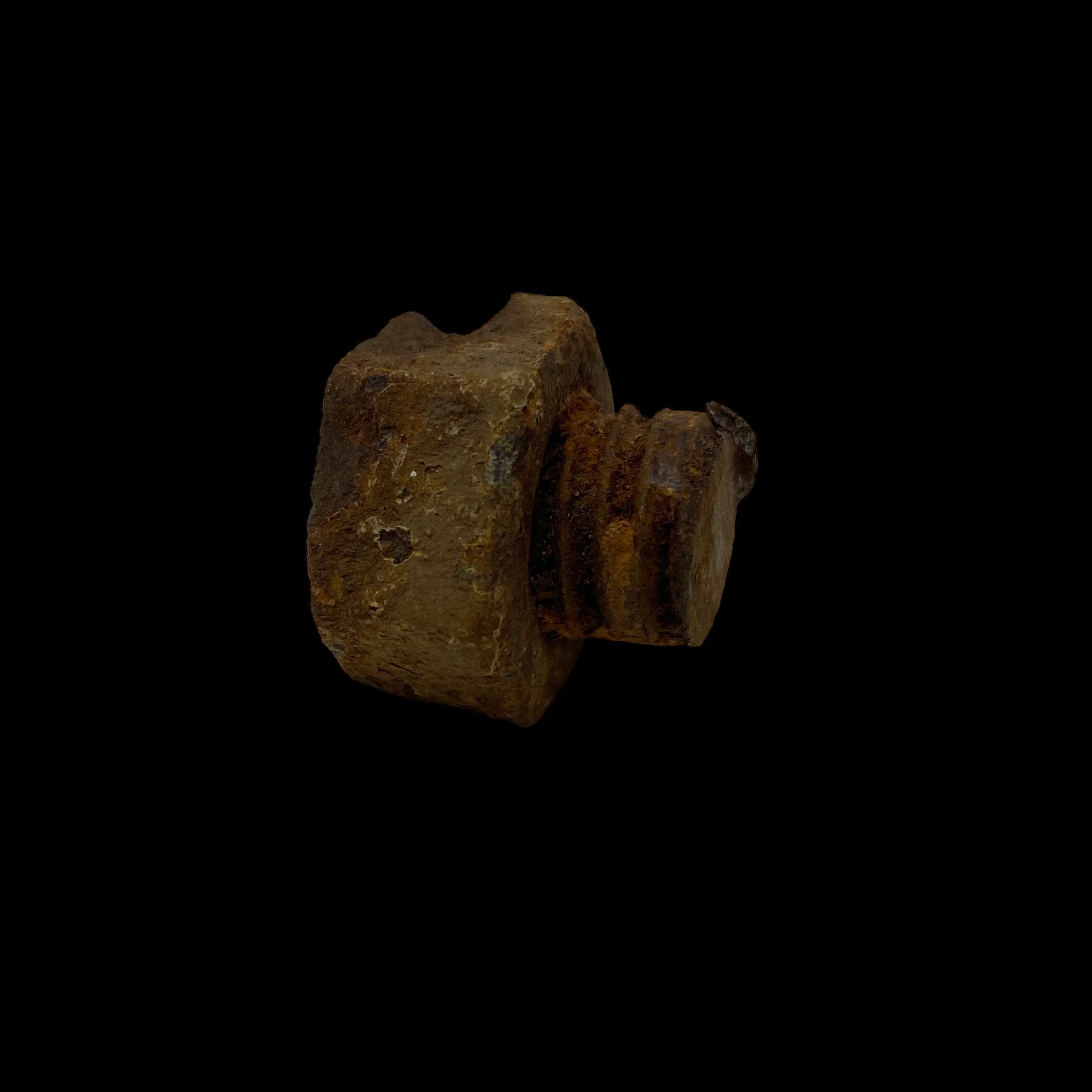 PhotoRoom_046_20230914_193537.JPG