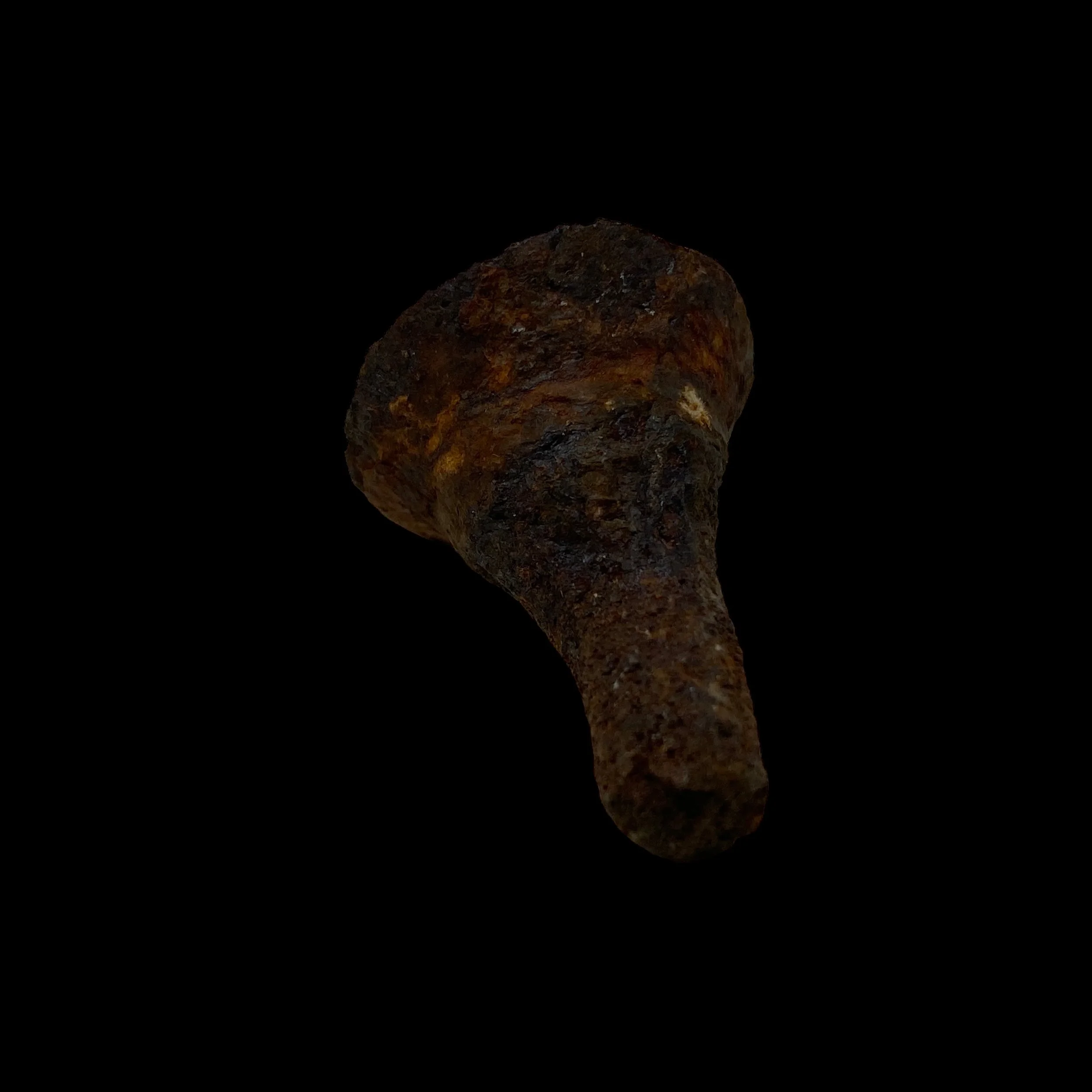 PhotoRoom_081_20230914_193537.JPG