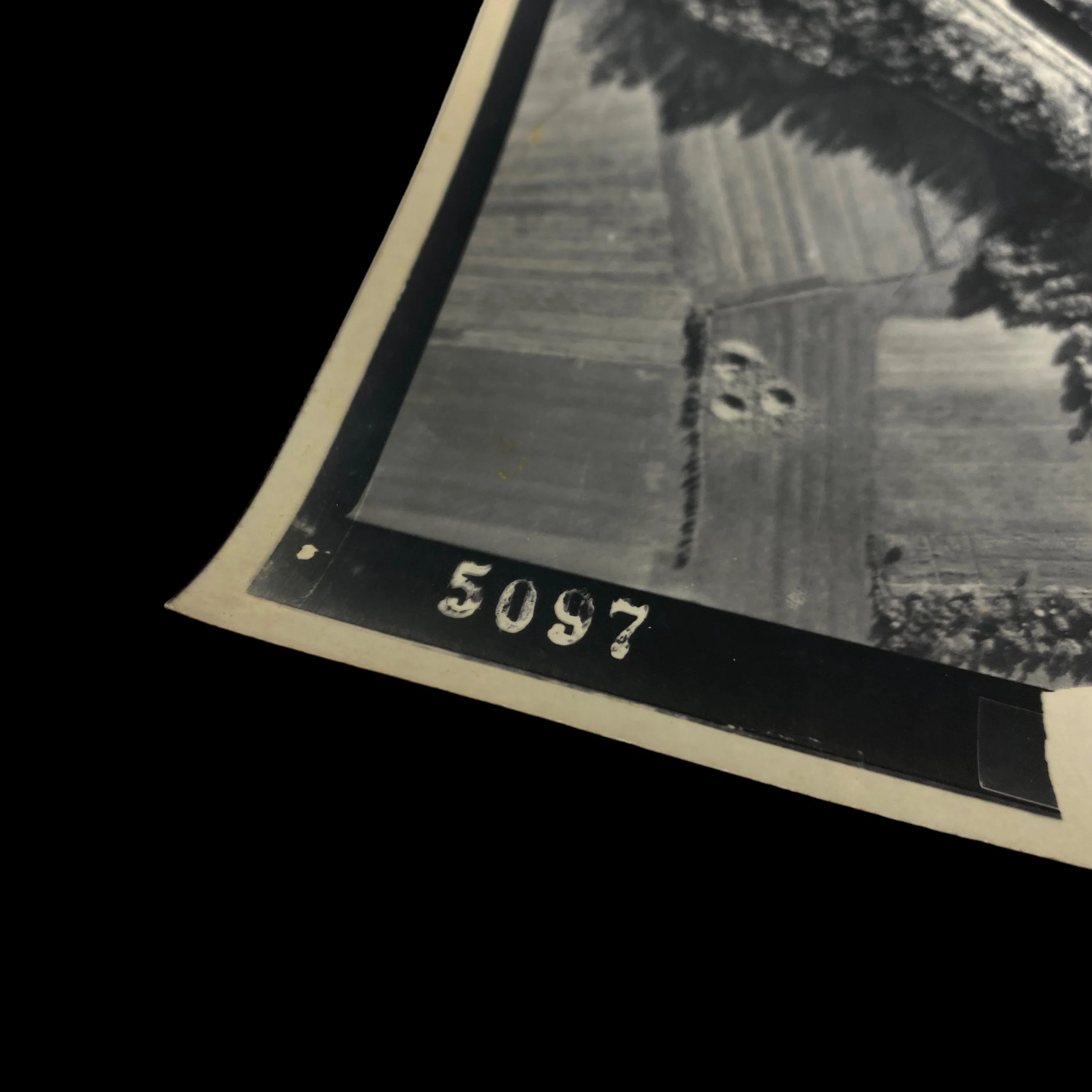 PhotoRoom_150_20230929_200937.JPG