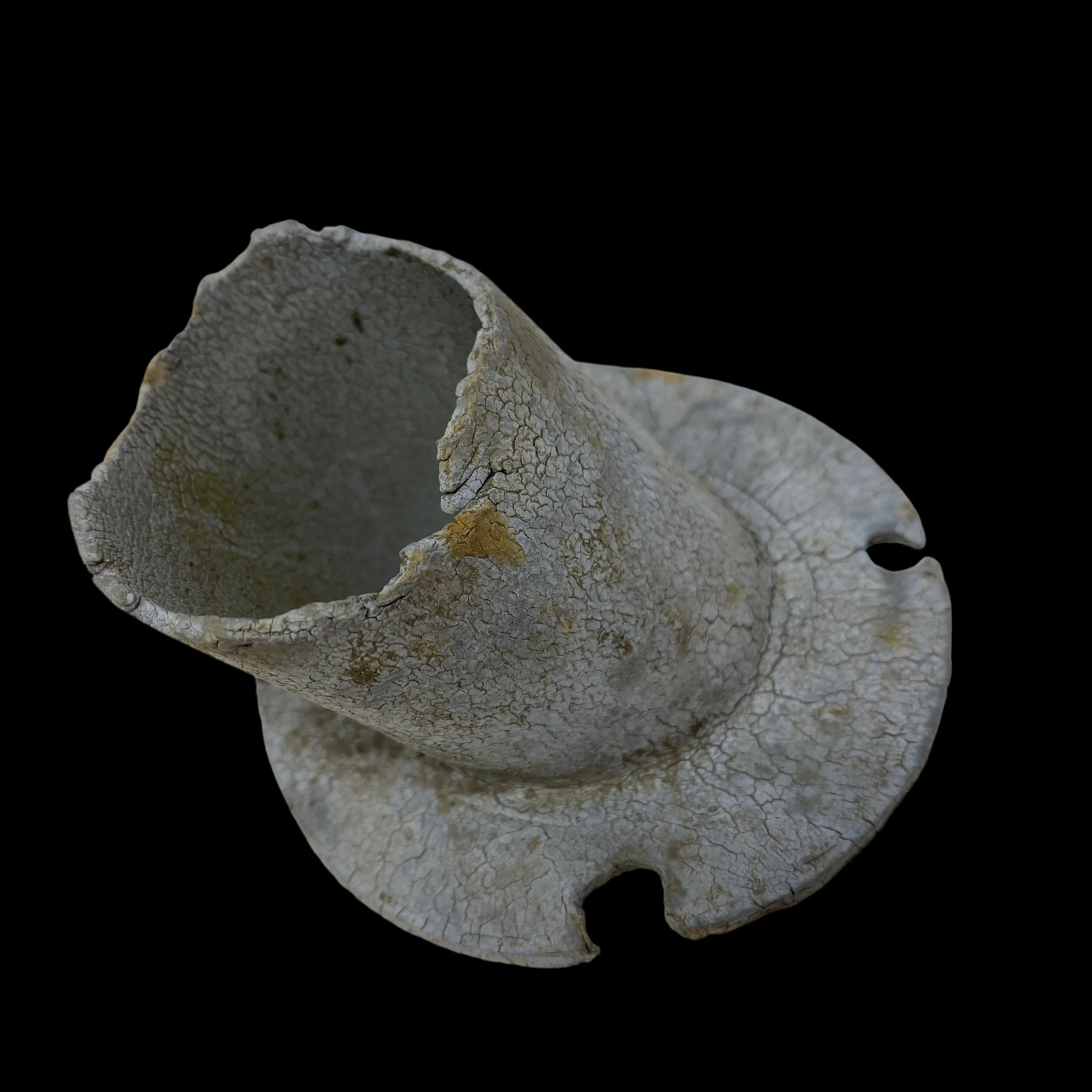 PhotoRoom_047_20231012_135436.JPG