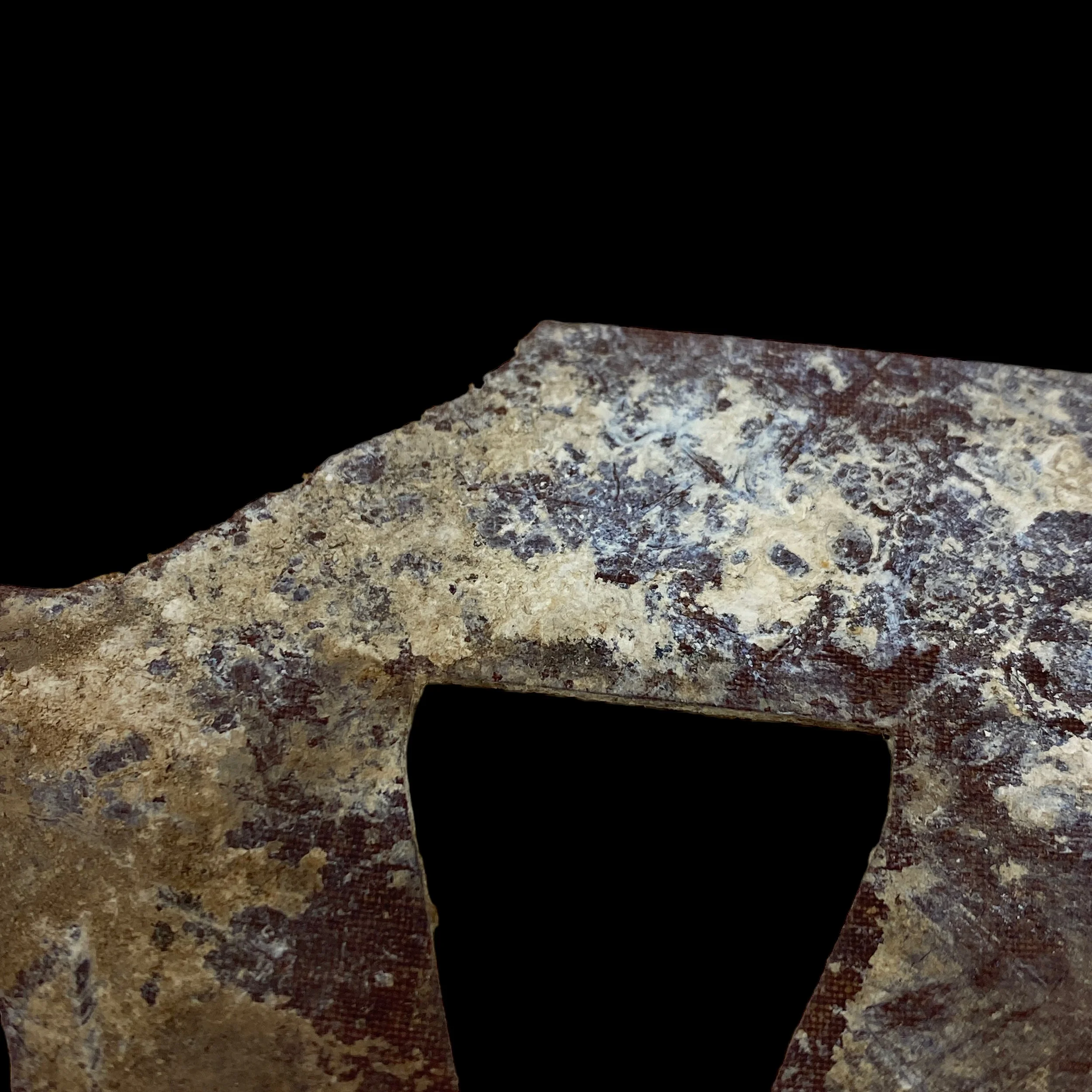 PhotoRoom_105_20231012_135437.JPG