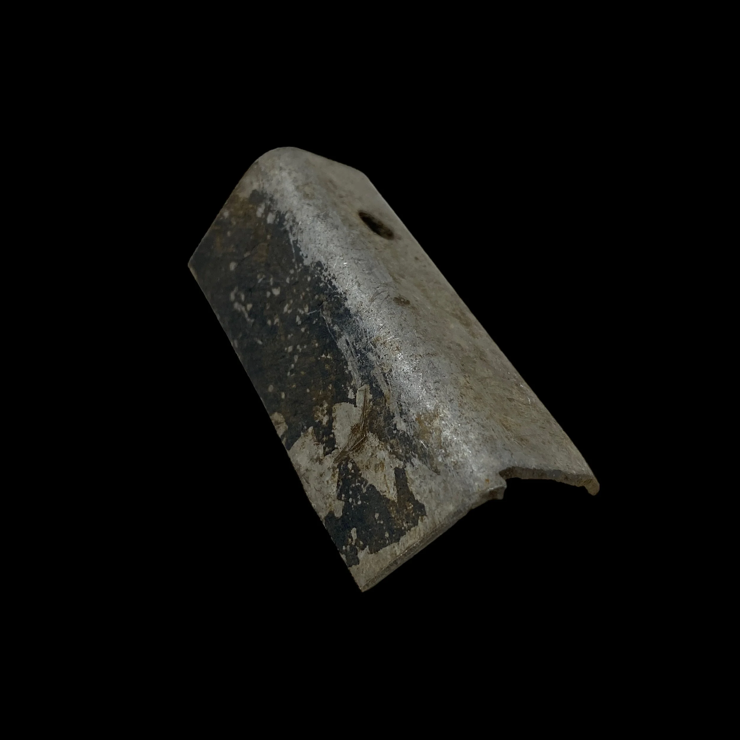 PhotoRoom_091_20231012_192443.JPG