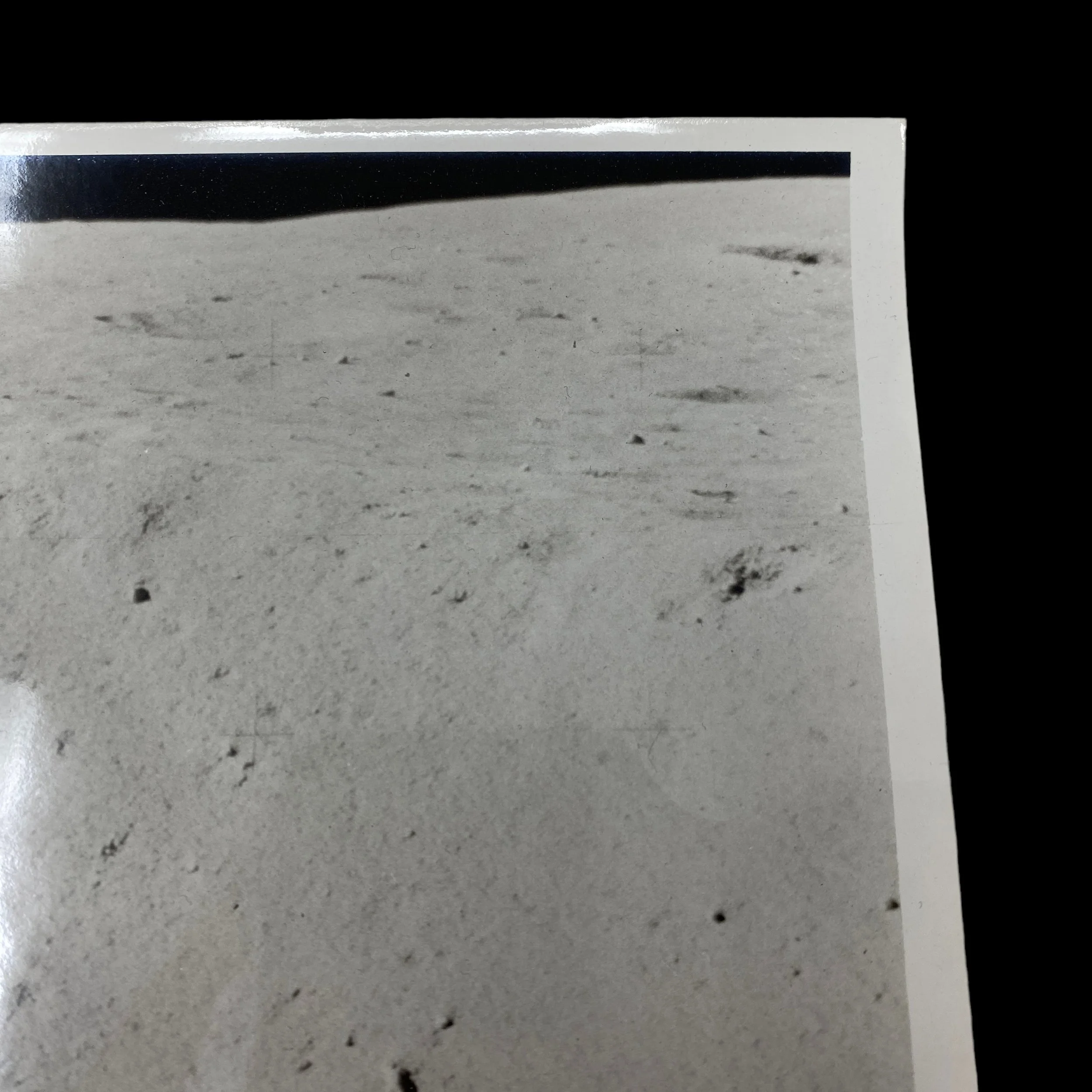 PhotoRoom_006_20231025_221527.JPG